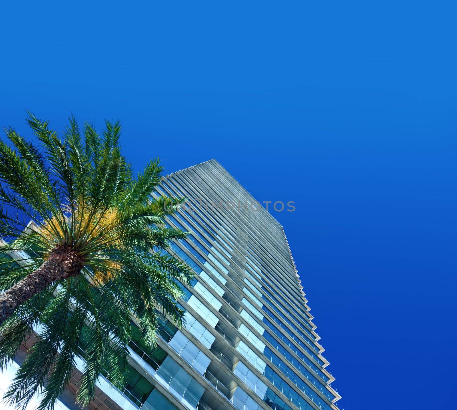 modern building over blue sky