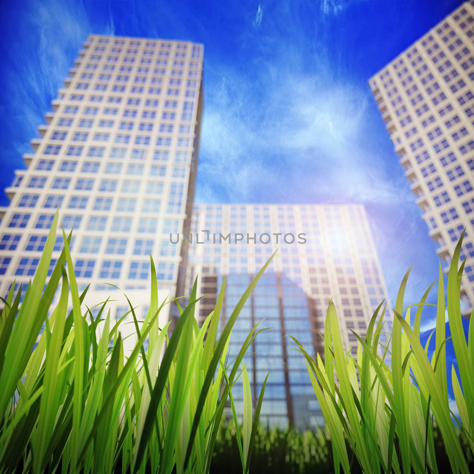 green grass and skyscrapers, aspiring to the sky in the background. Shallow DOF