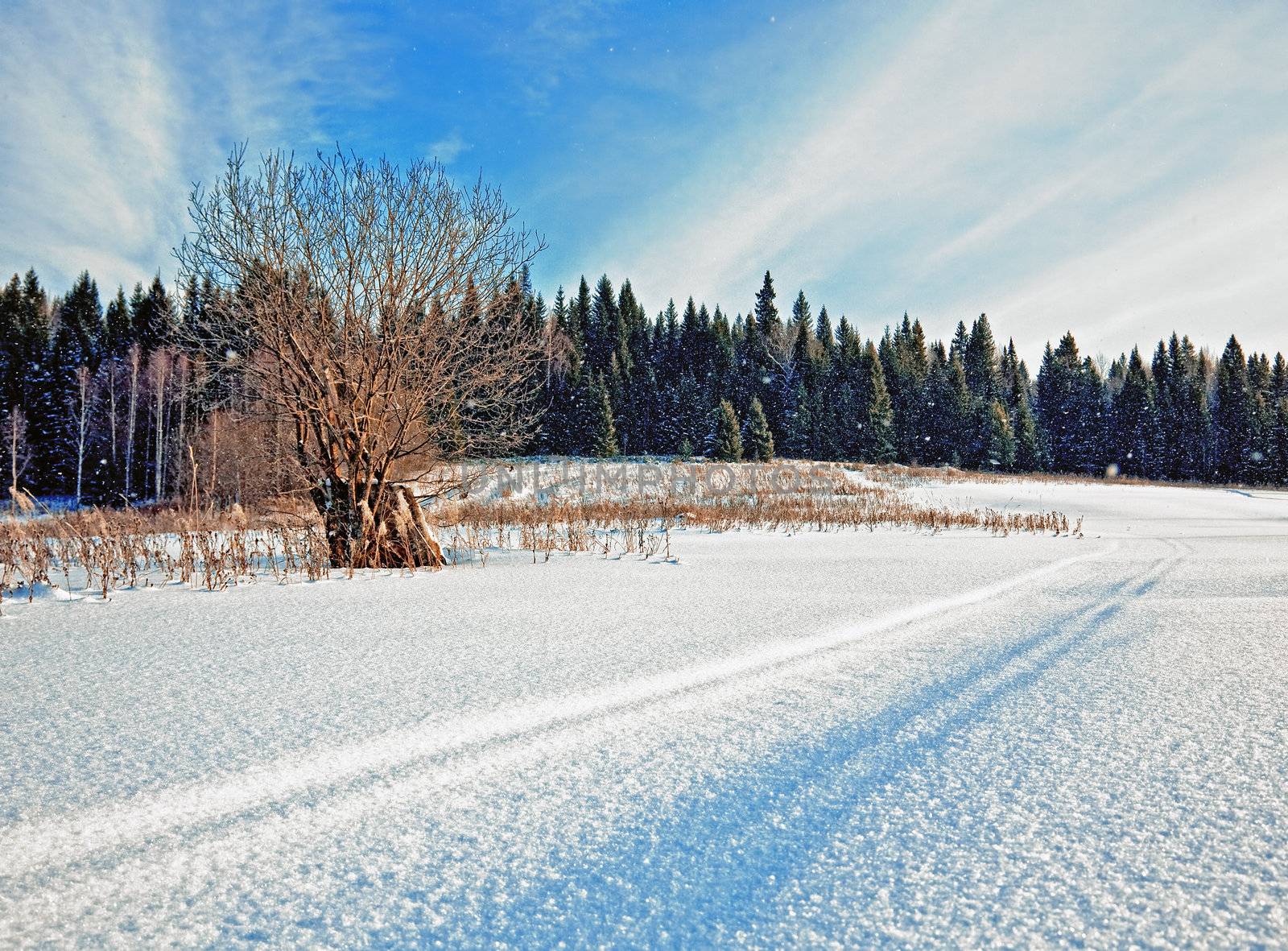 snow-covered road in winter field