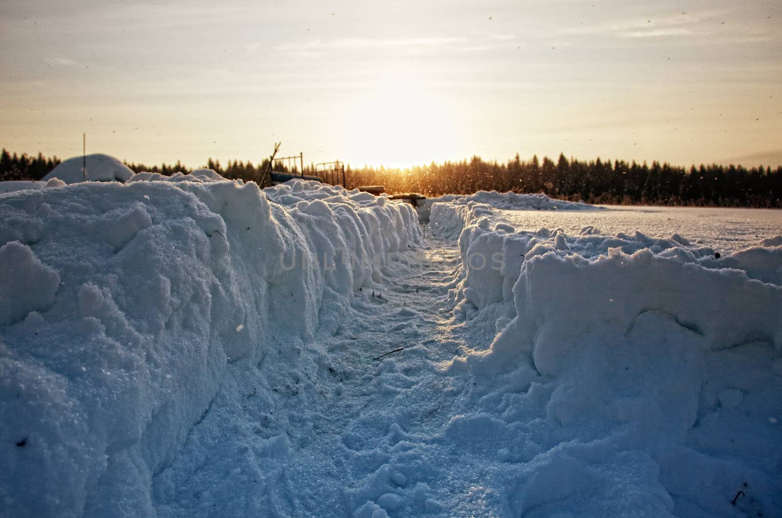 trodden path in deep snow photo