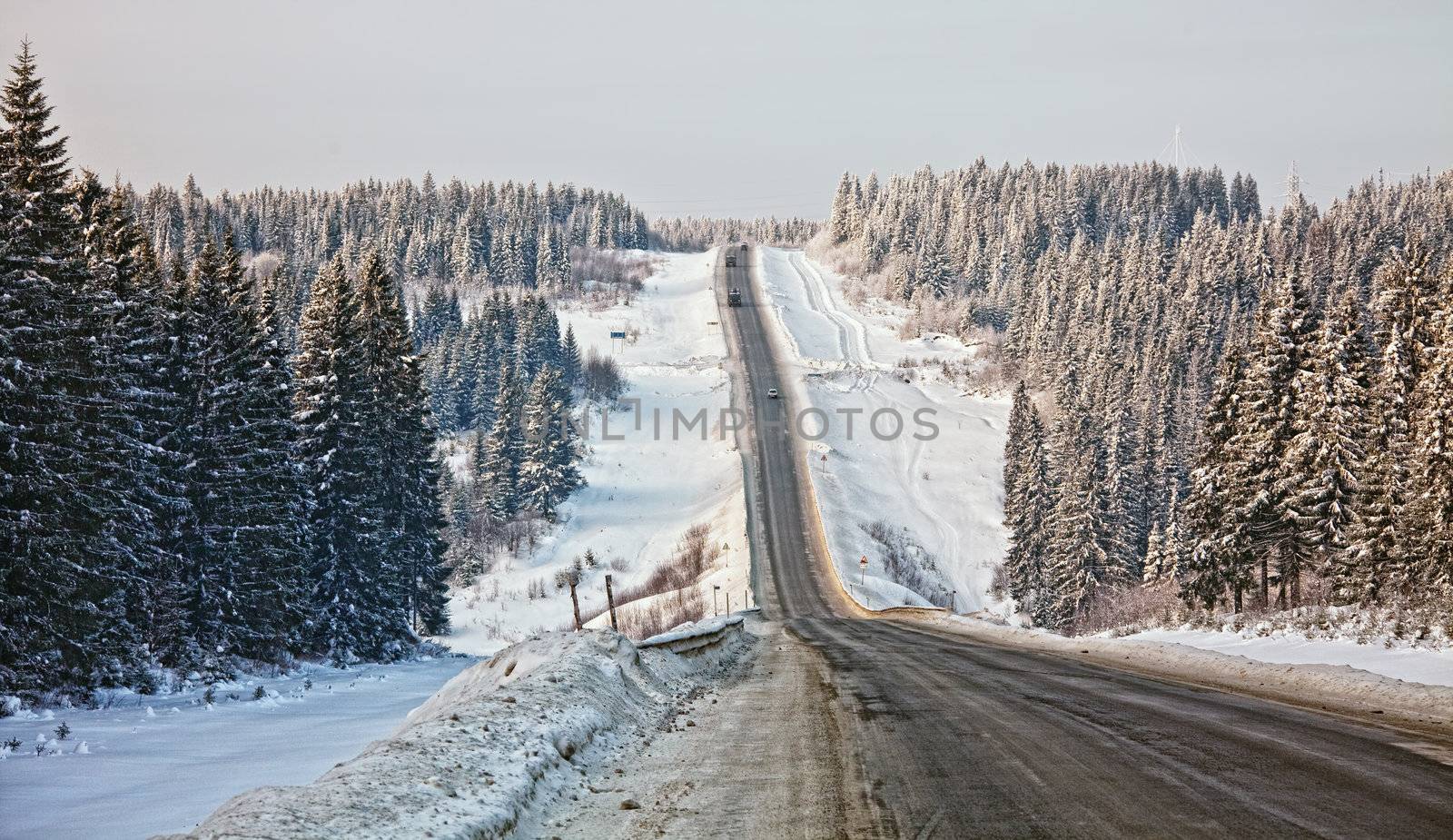 Frozen trees and snowy land road photo