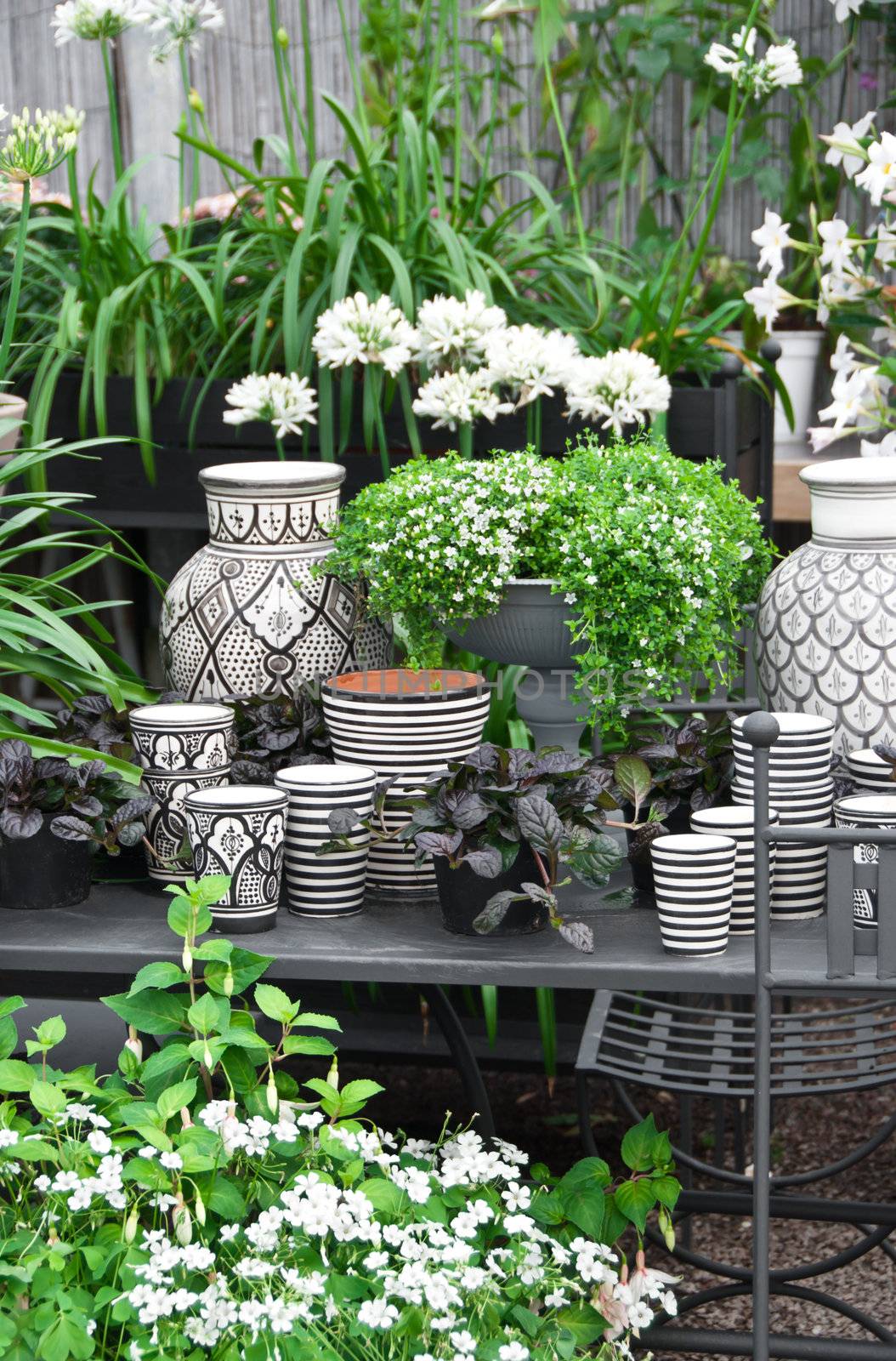 Beautiful arrangement of flowers, plants and black and white ceramics.