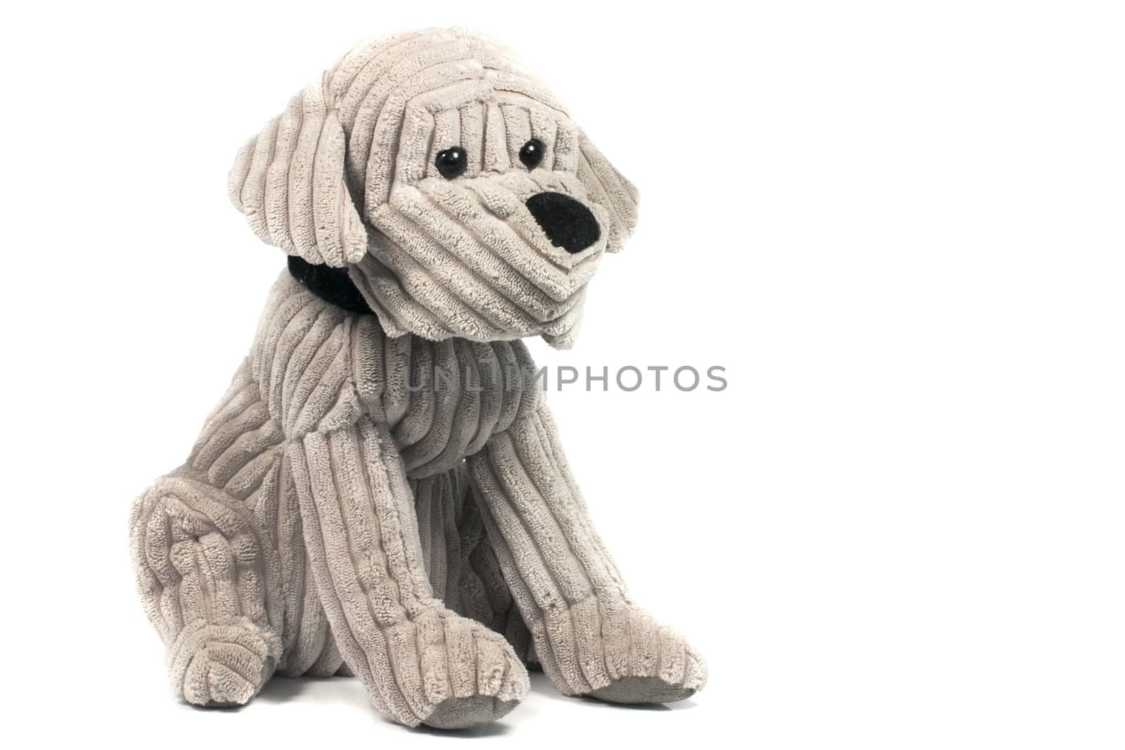 toy puppy dog isolated on white