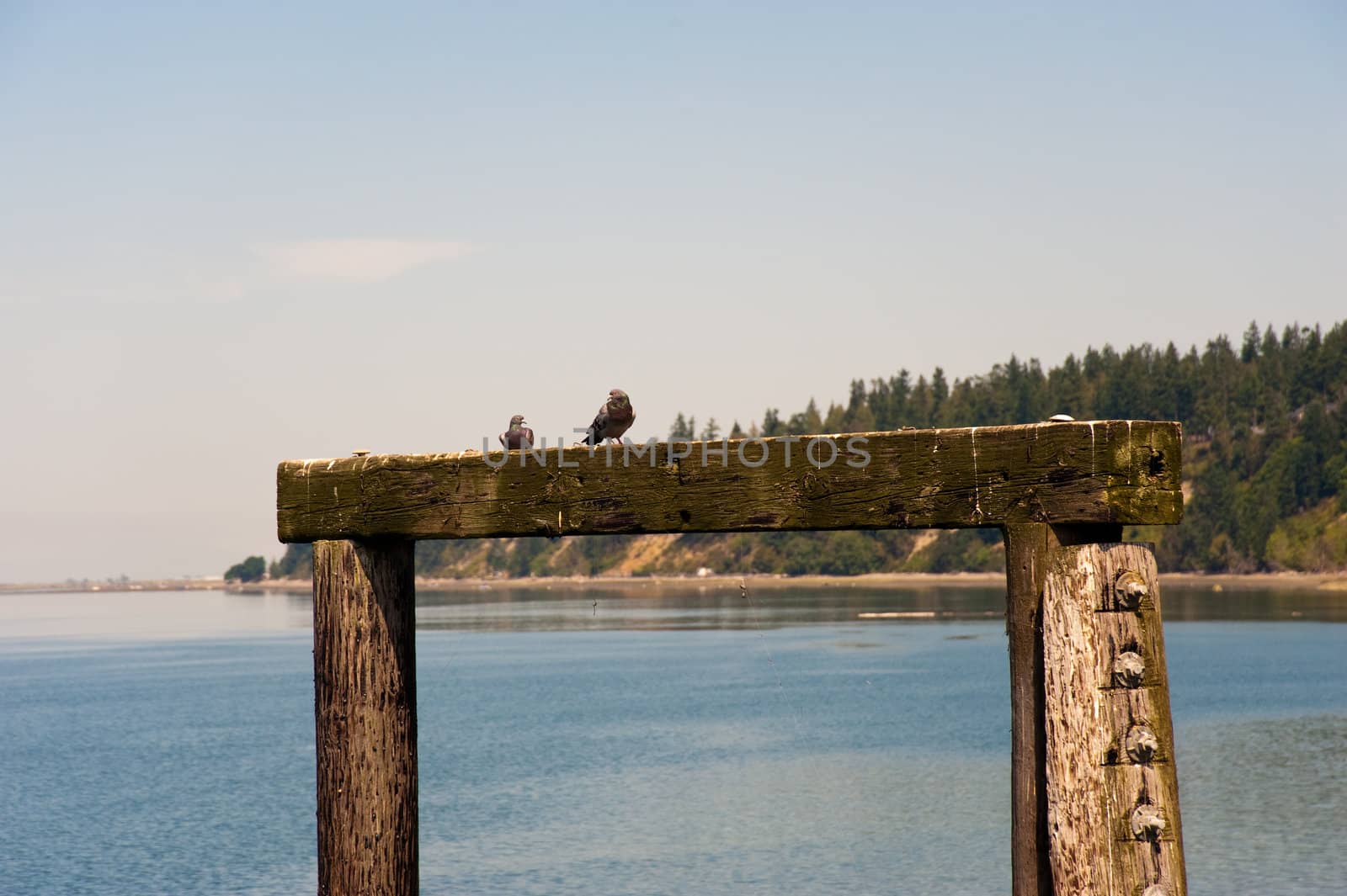 Kayak Point, WA