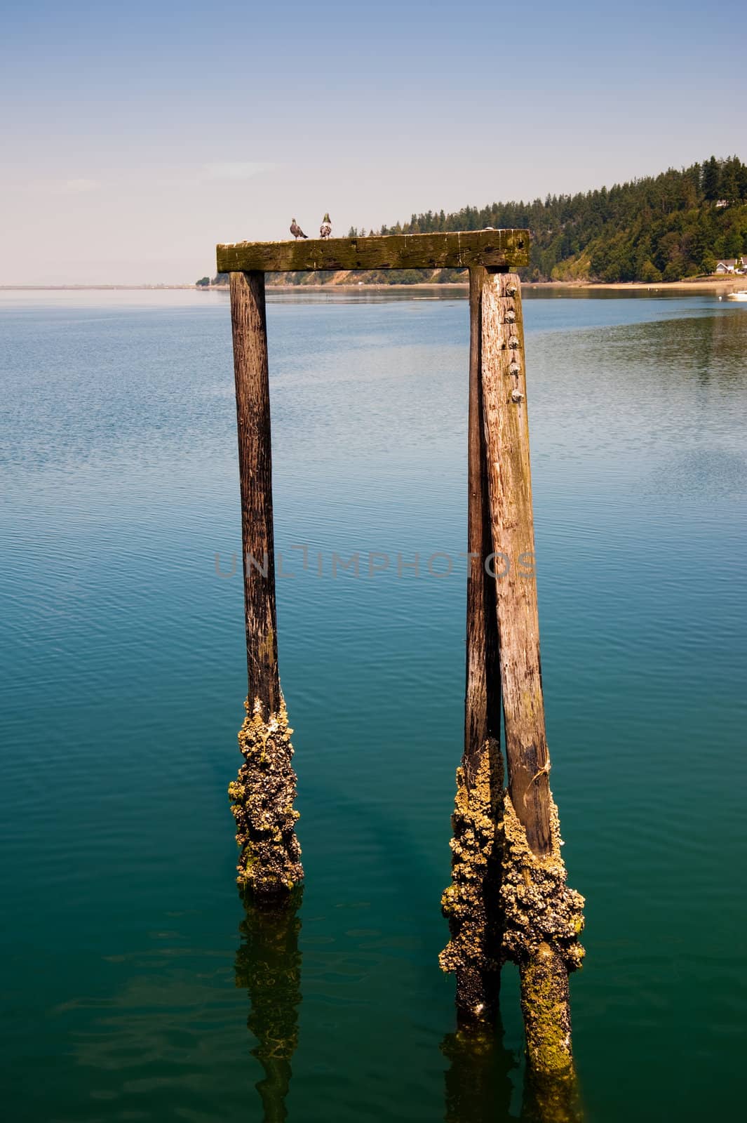 Kayak Point, WA