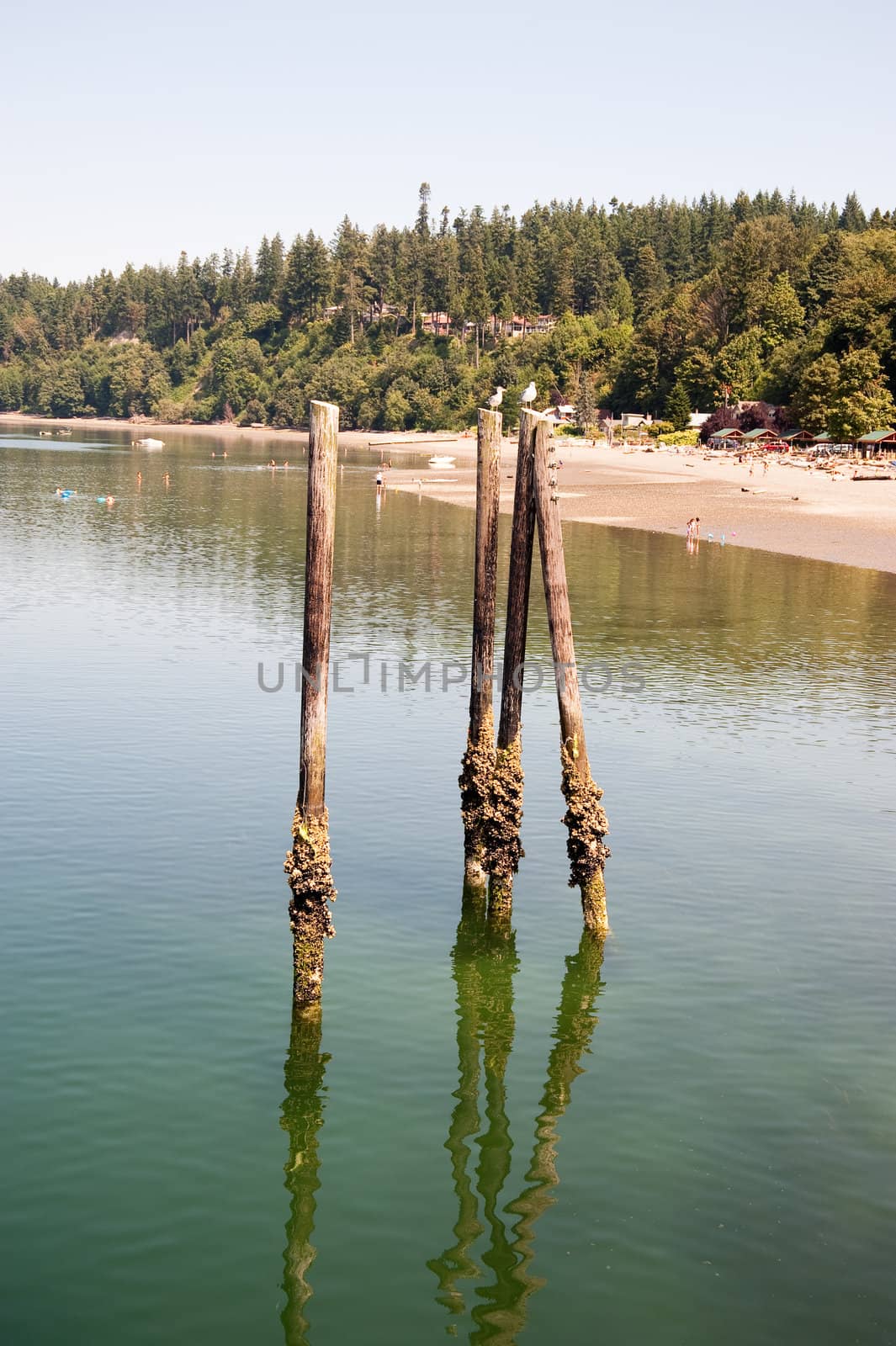 Kayak Point, WA