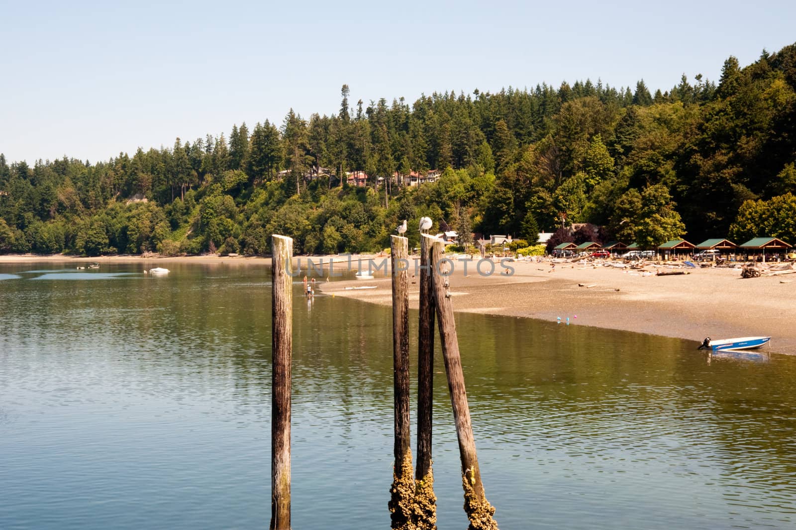 Kayak Point, WA