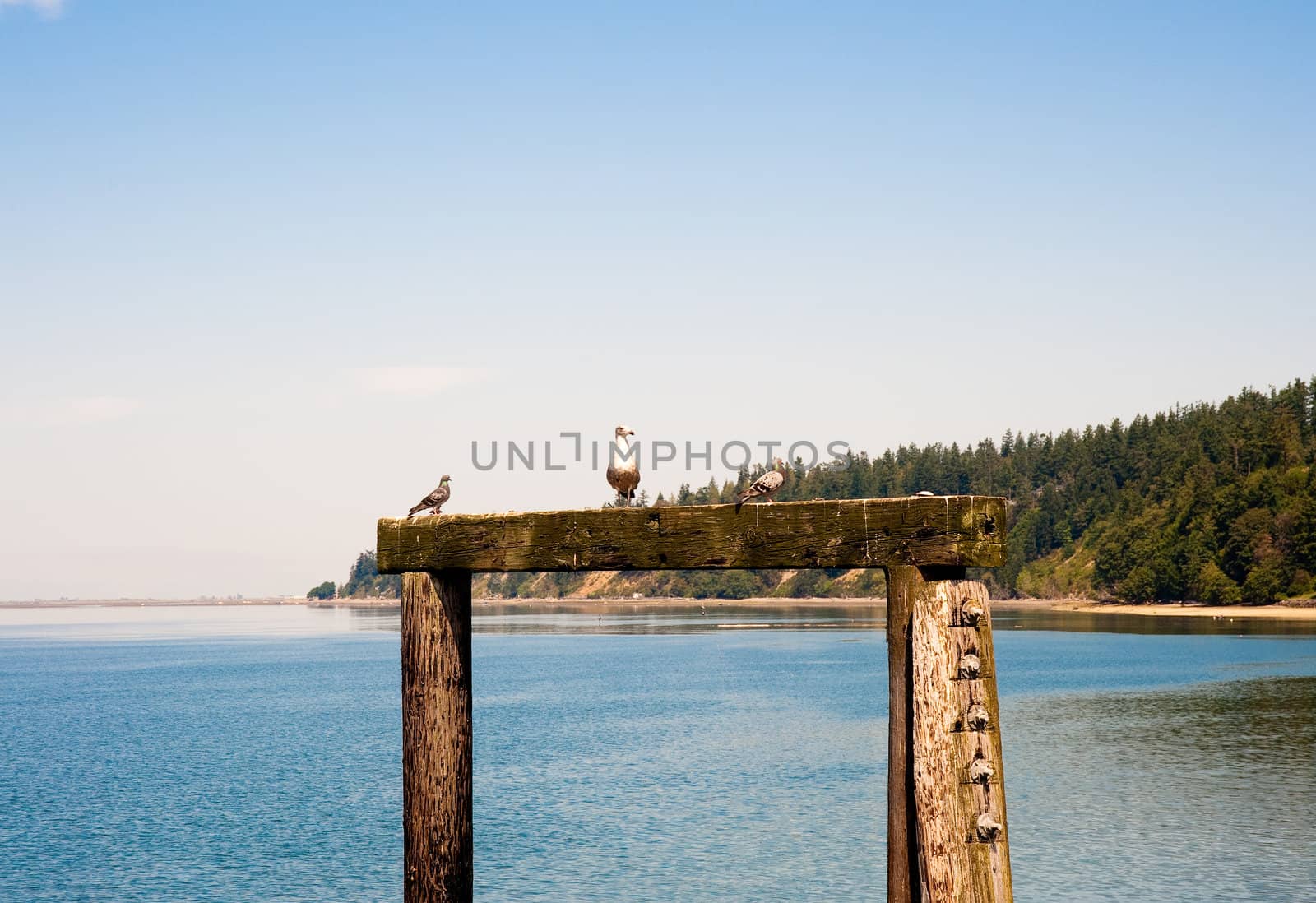 Kayak Point, WA