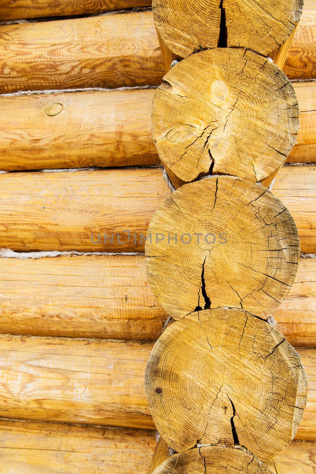 Round wooden logs surface of blockhouse wall