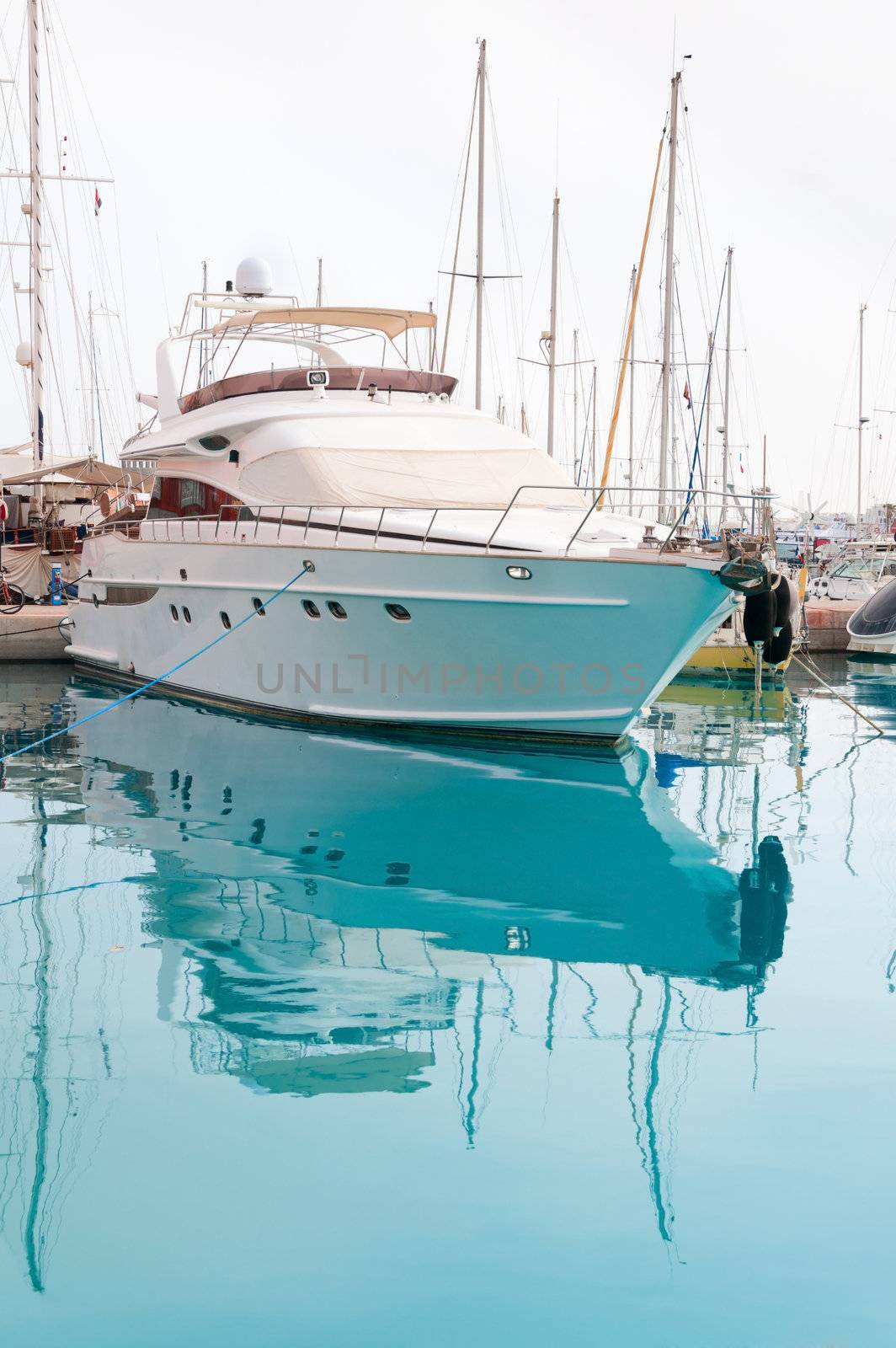 White yacht in a moorage with clean blue water
