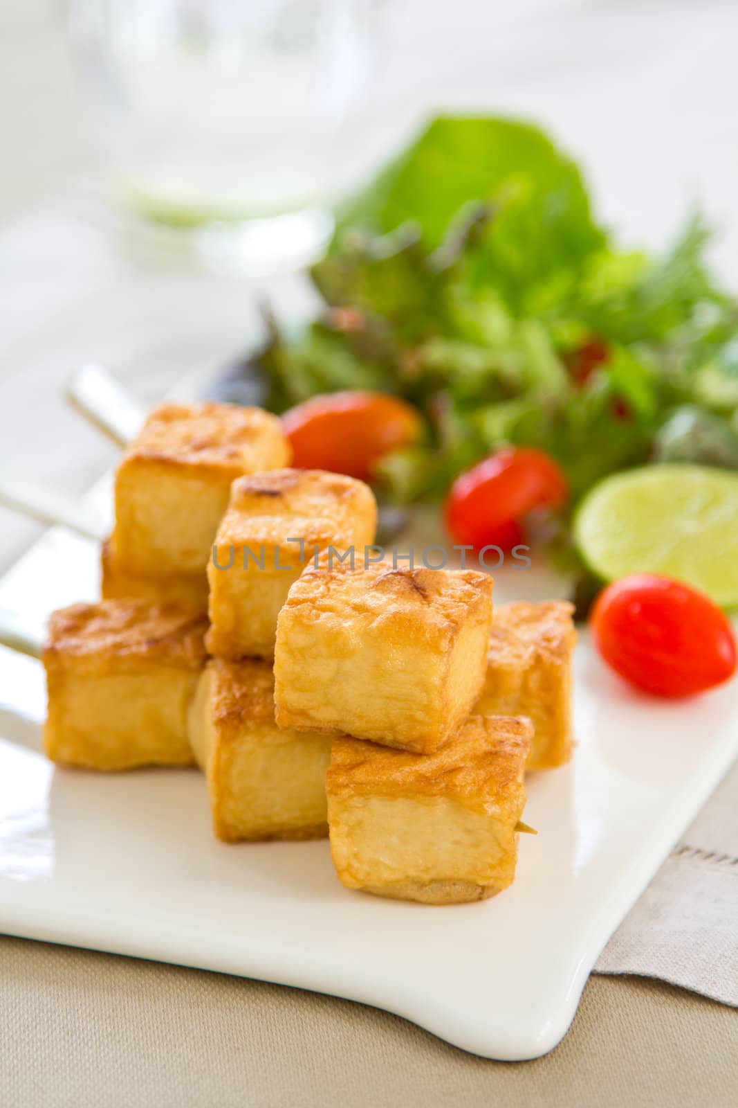 Grilled Tofu and salad by vanillaechoes