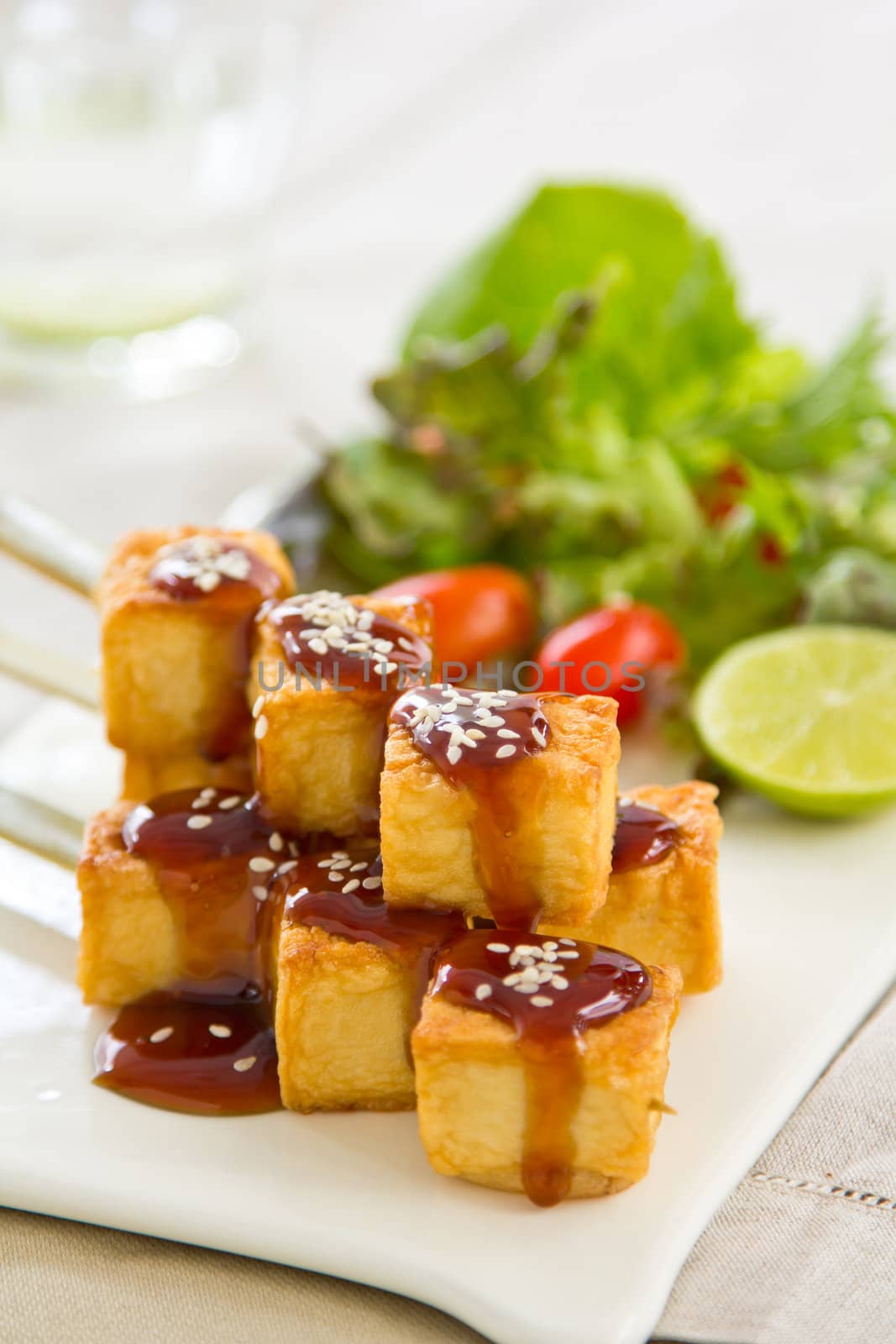 Grilled Tofu with teriyaki sauce and salad by vanillaechoes