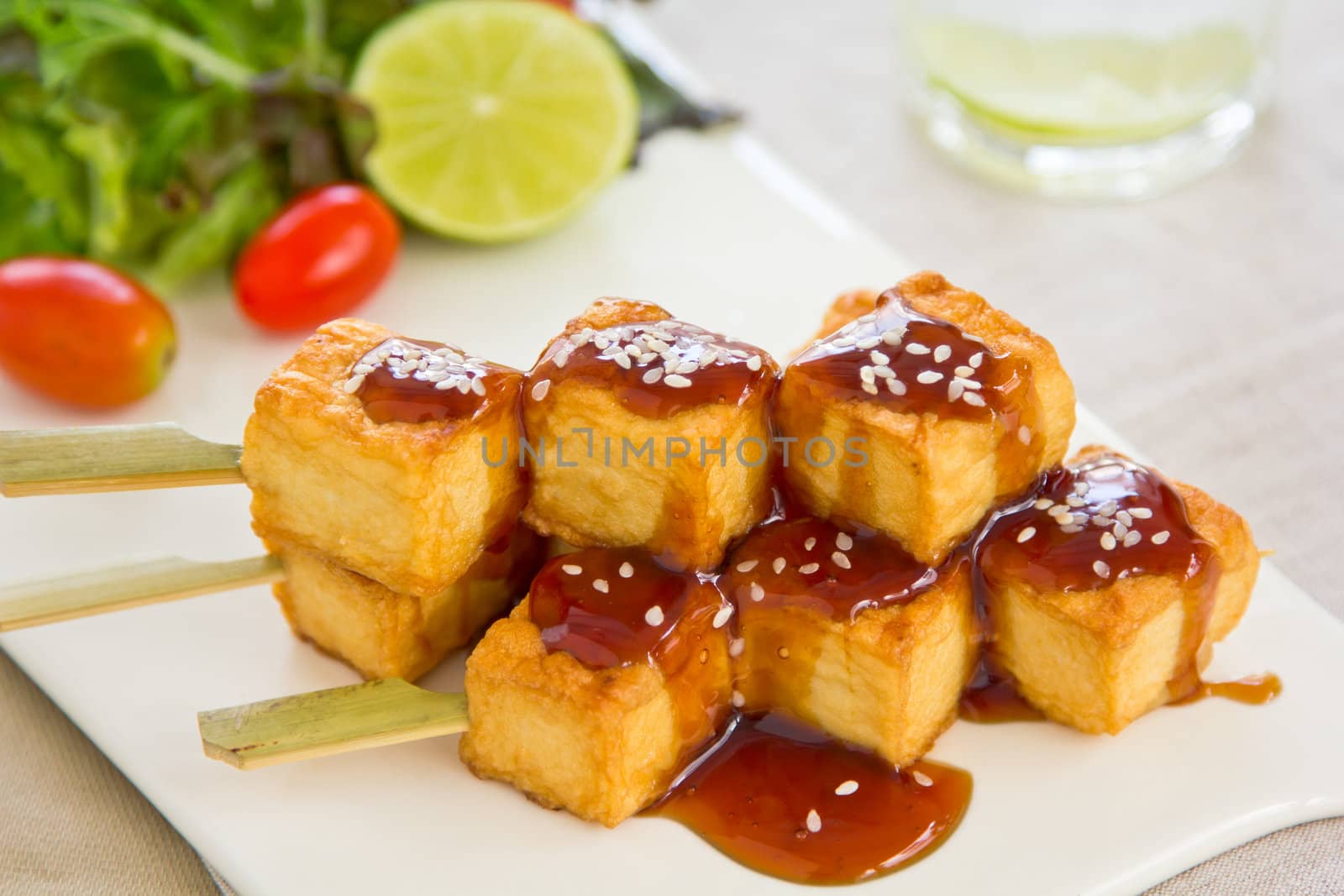 Grilled Tofu with teriyaki sauce and salad by vanillaechoes