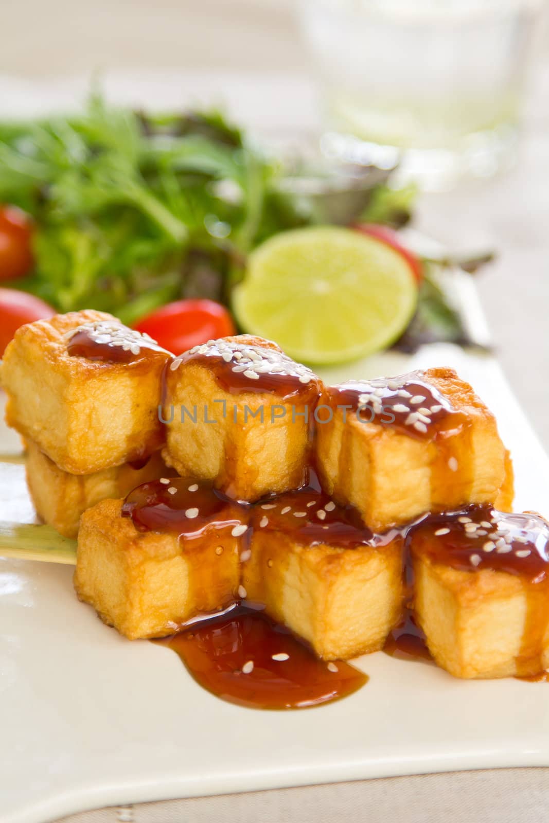Grilled Tofu with teriyaki sauce and salad