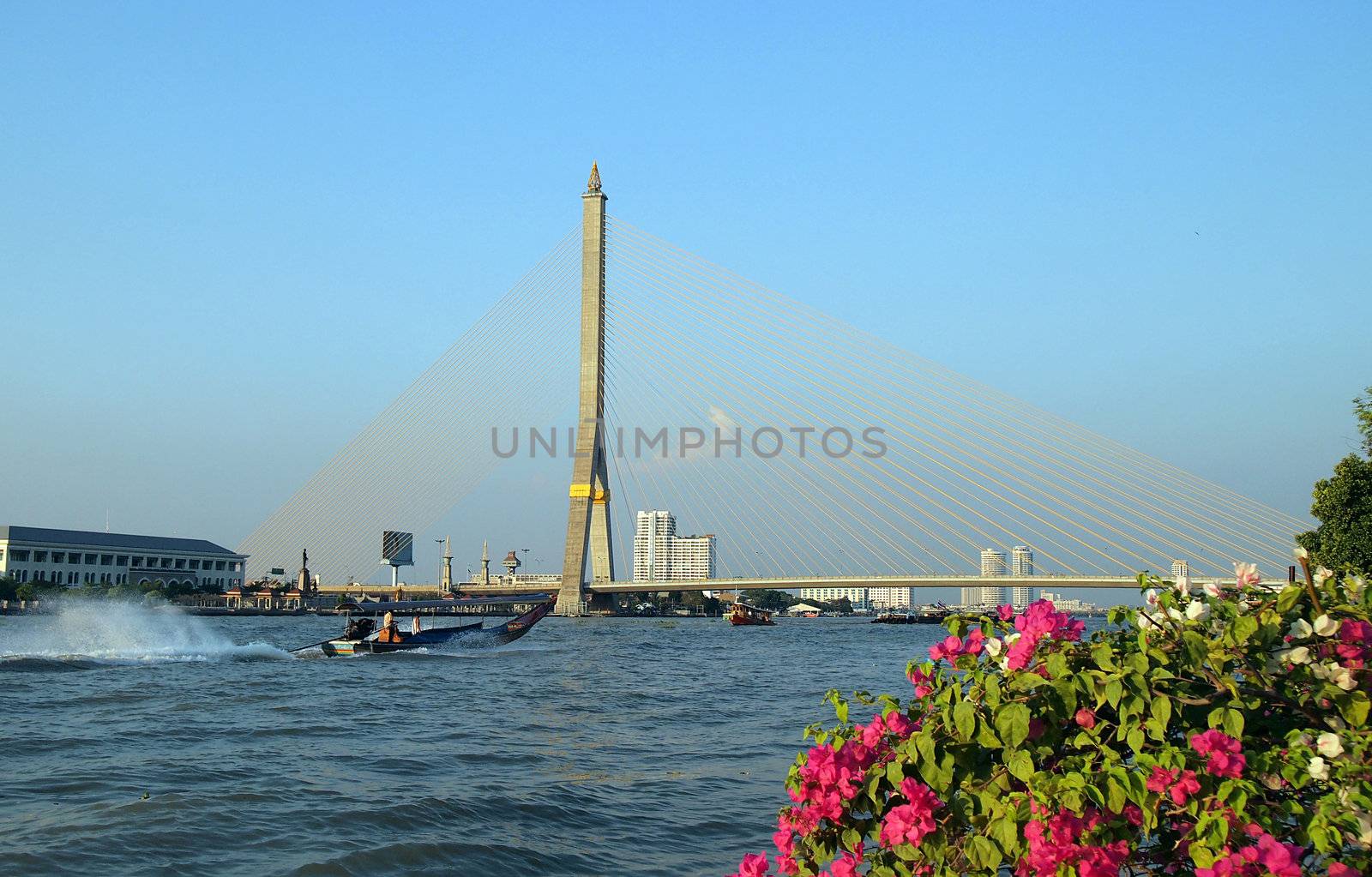 Bangkok Rama VIII bridge,the famous mega sling bridge in thailand . 