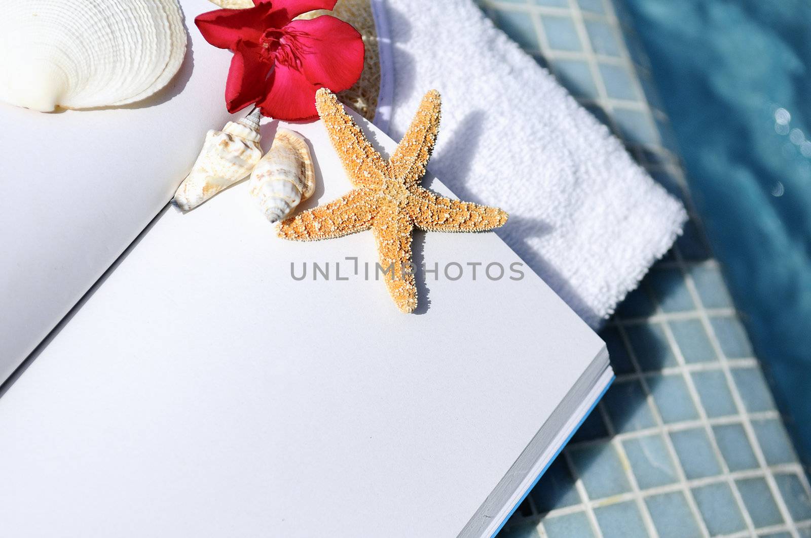 open book, shellfish and white towel beside a pool