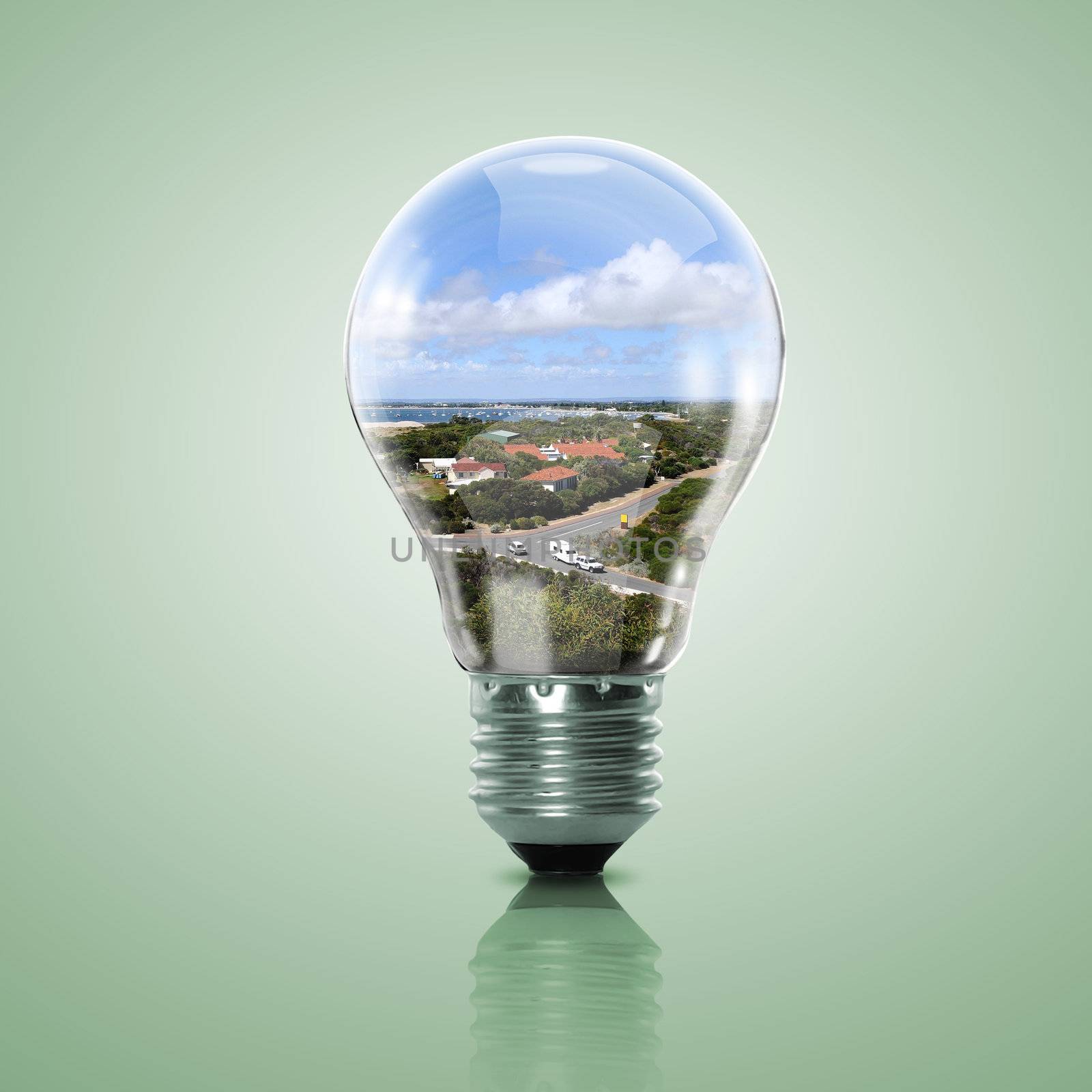 Electric light bulb and a plant inside it as symbol of green energy