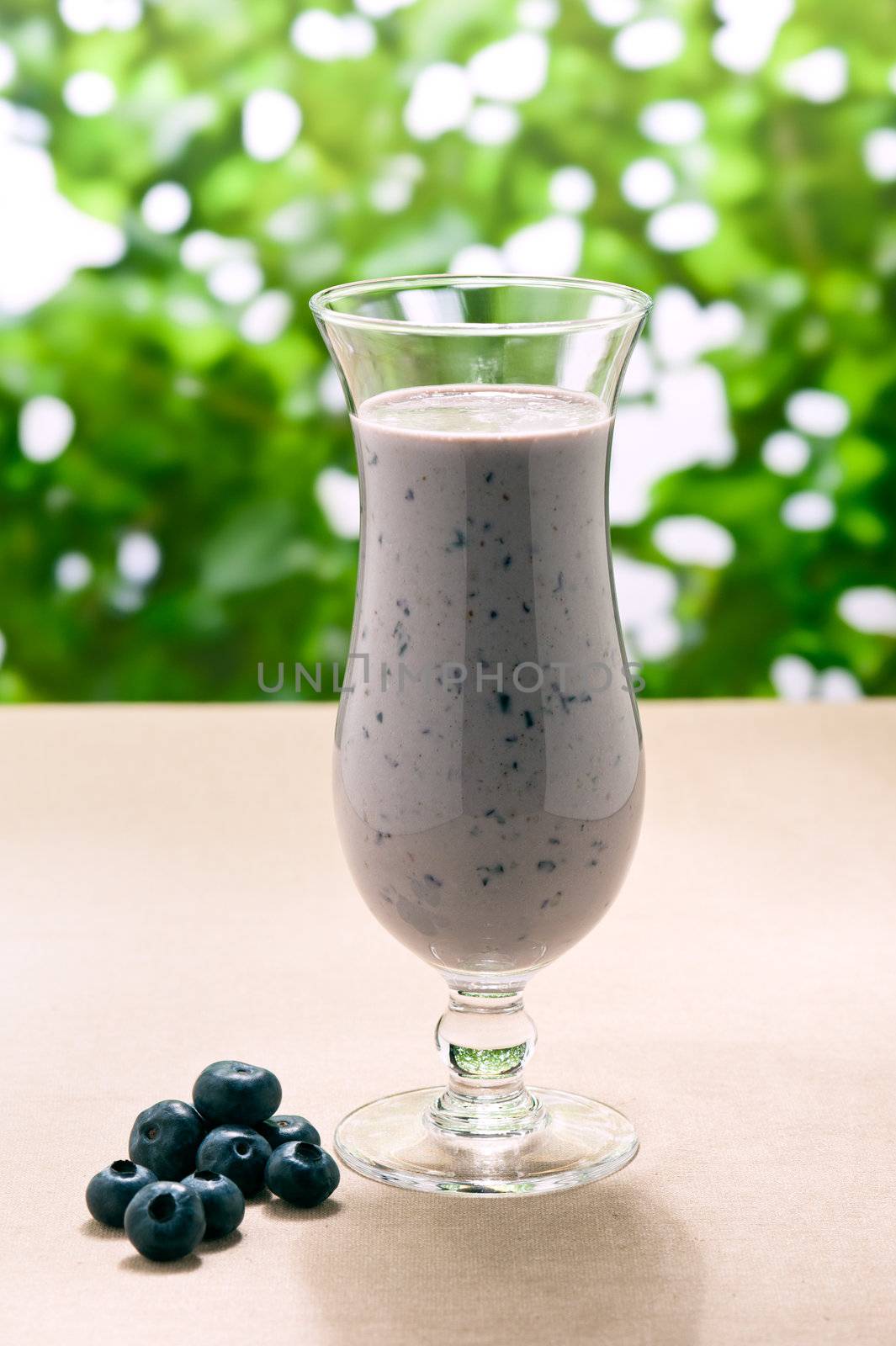 Blueberry milk shake with real fruit and a green background