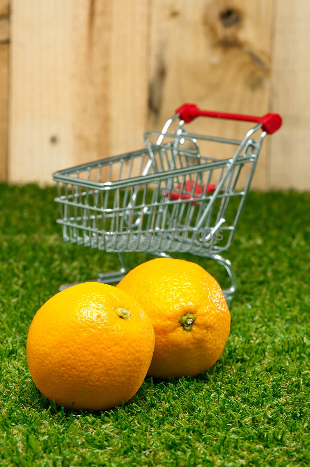 Orange fruit on lawn with shopping cart in front of wooden wall