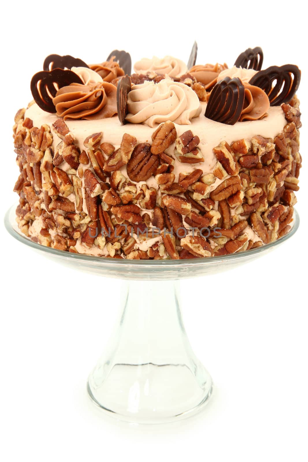 Decorated Pecan Caramel Chocolate Cake on Glass Display Platter by duplass