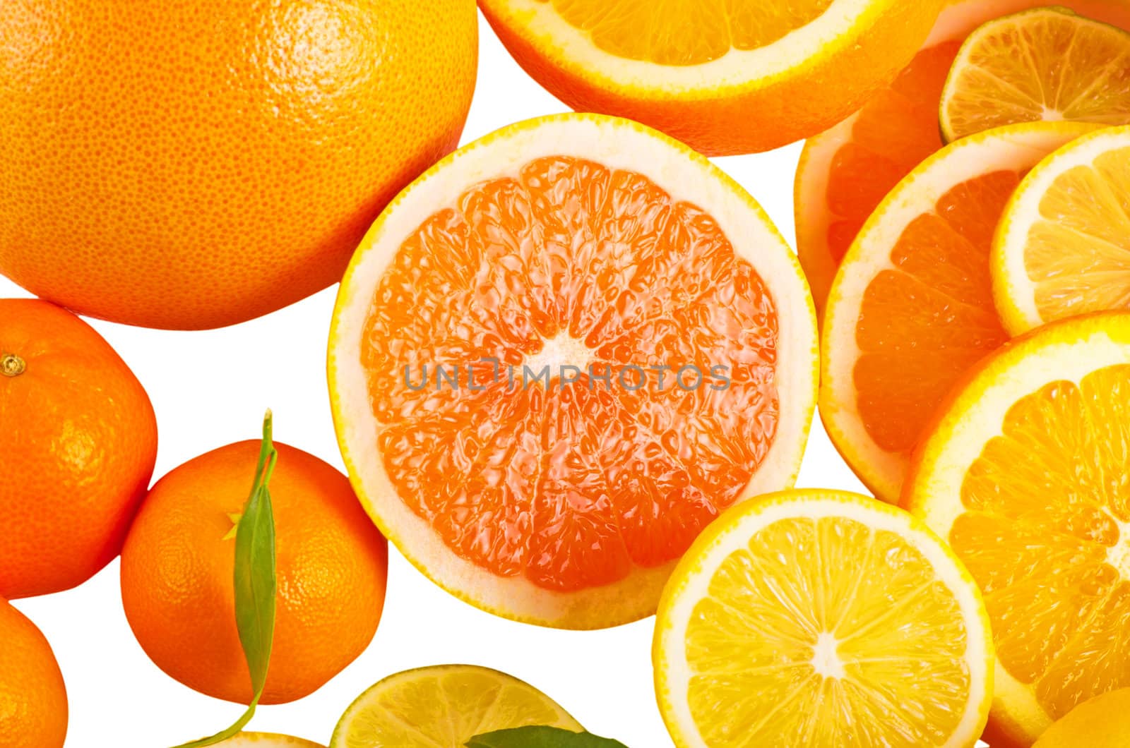 Citrus Slice