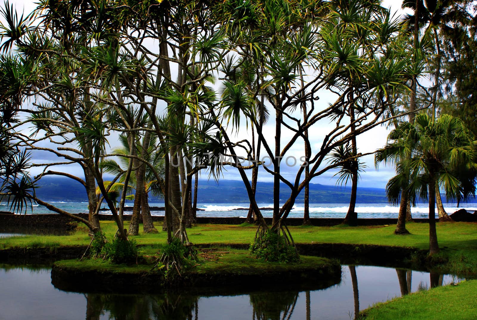 Richardson Ocean Park in Hilo, Hawaii  by duplass