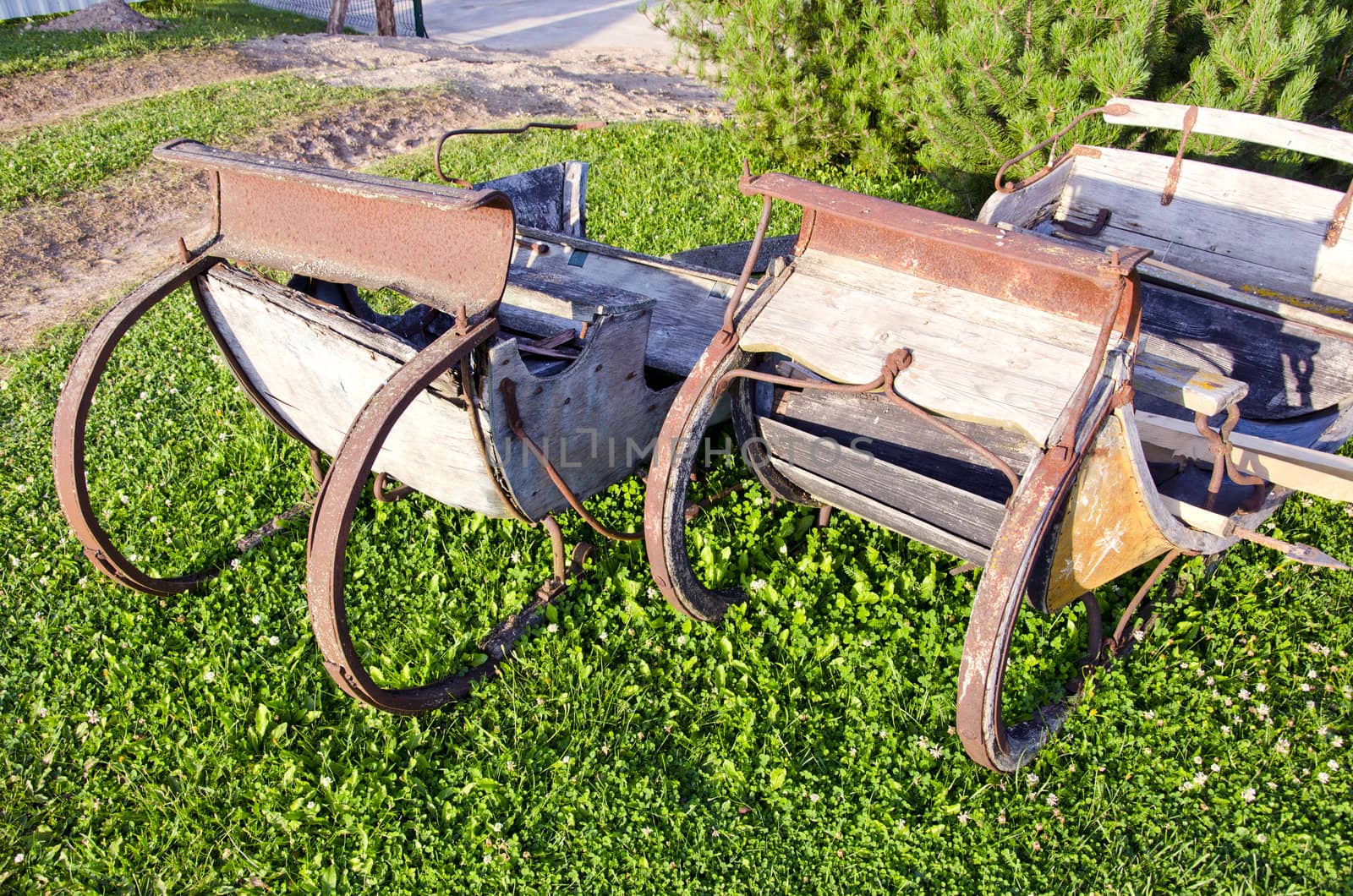 two historical horse sledge in farm on grass