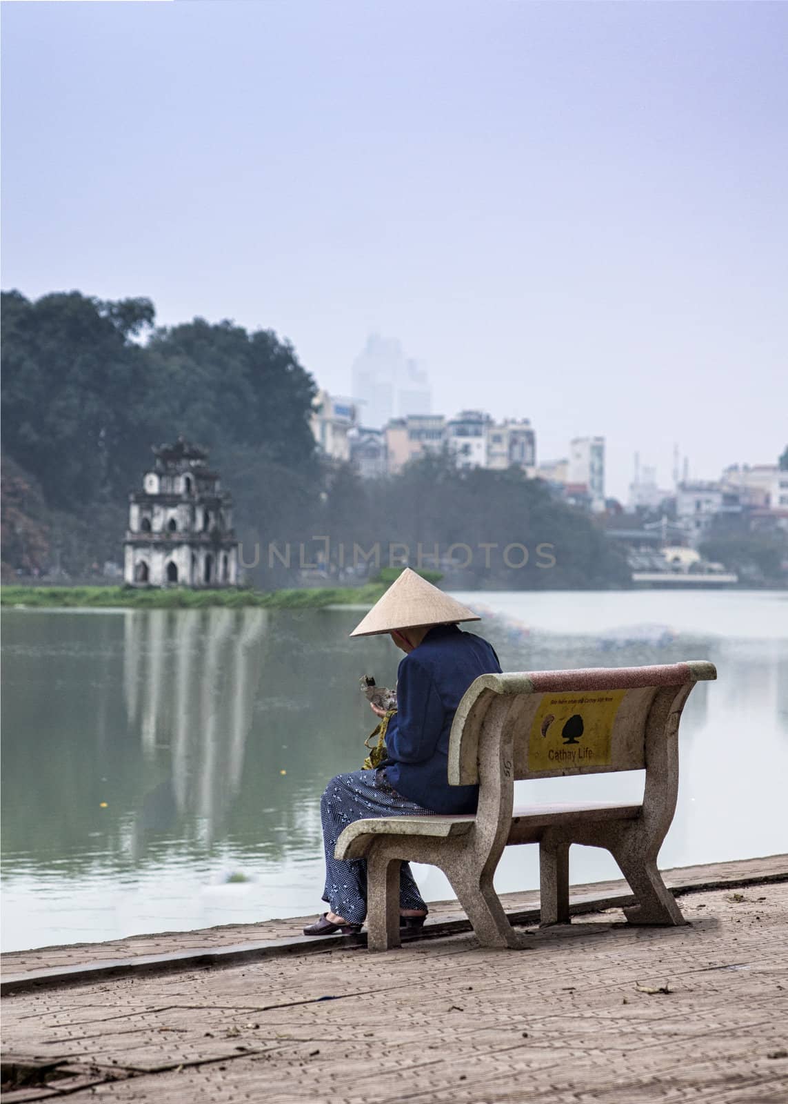 Peaceful park scene with light blue skies and green water.