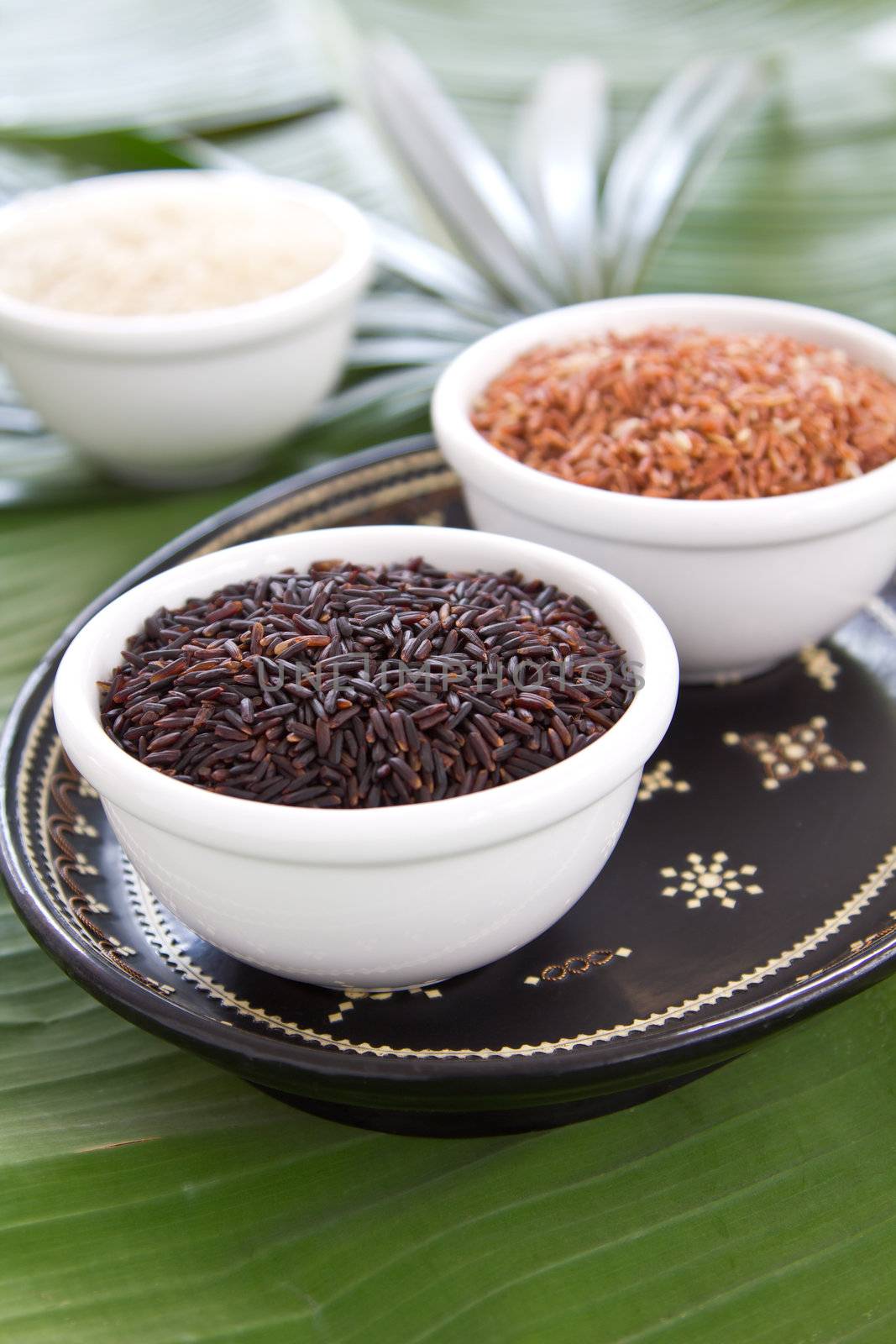 Varieties of raw black rice,jasmine rice and brown rice in white bowls