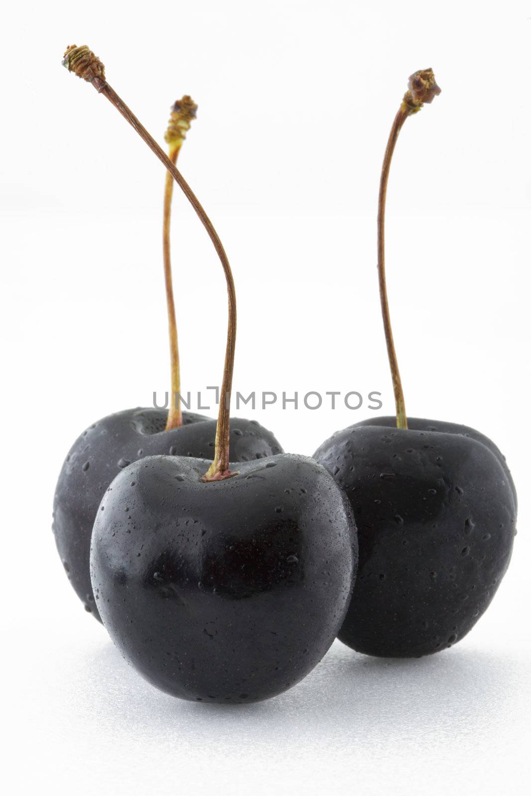 Black Cherries by antpkr