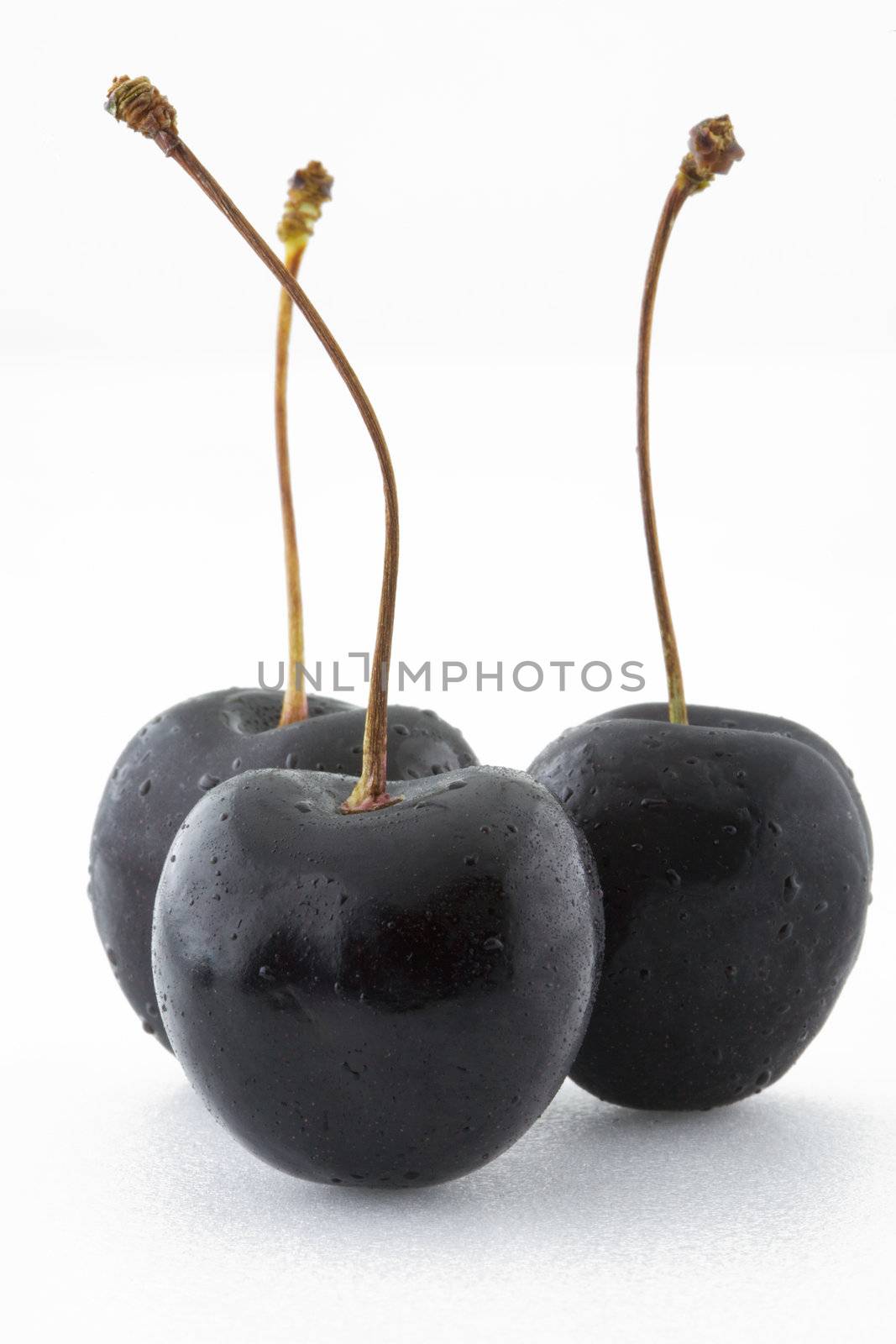 Black Cherries