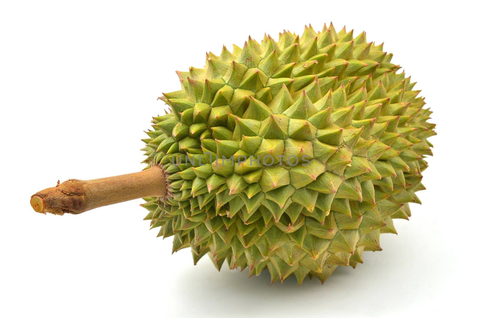 Durian isoltaed on white