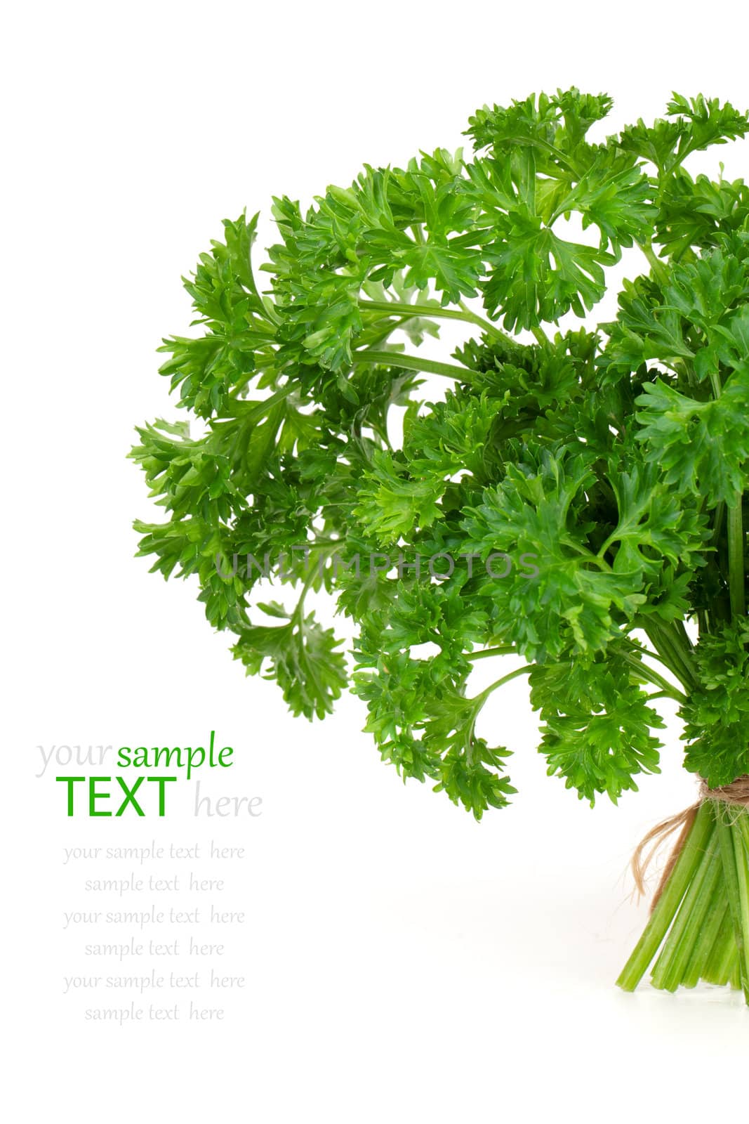 Fresh green parsley, isolated on white background