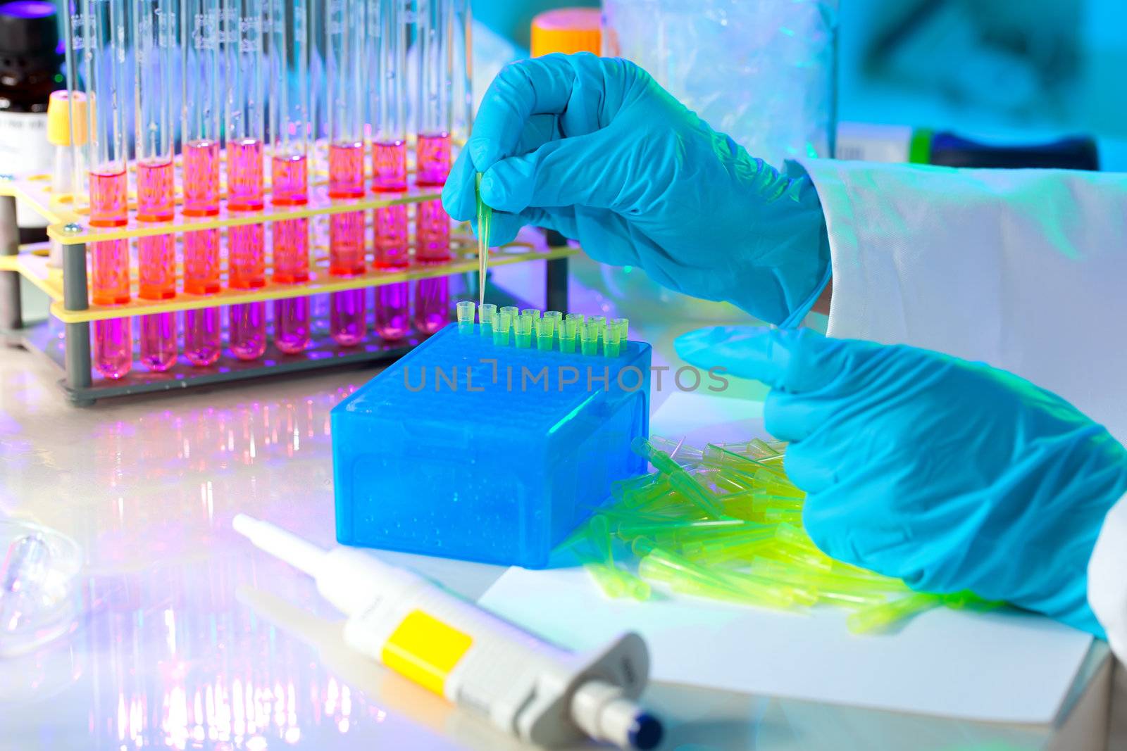 Tech fills in a plastic box with yellow tips for automatic pipette