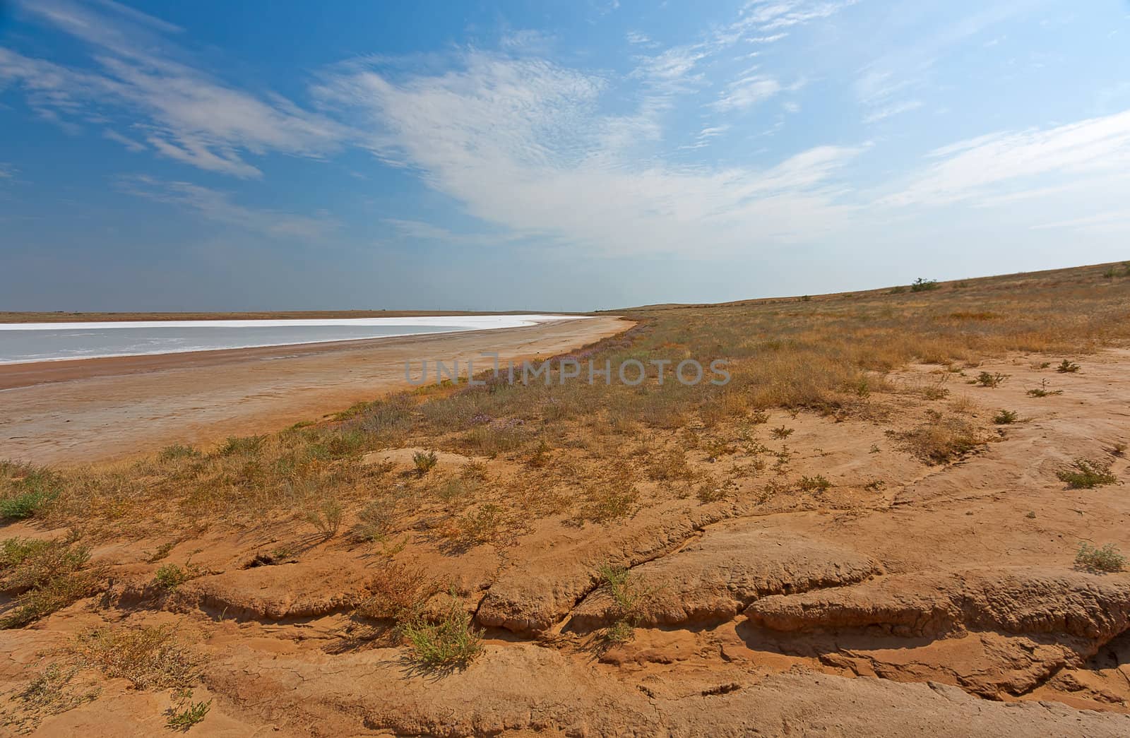 desert landscape by zhannaprokopeva