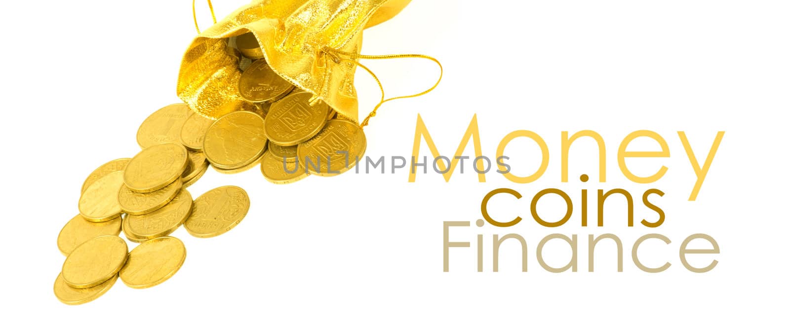 Money coins in golden bag isolated on white