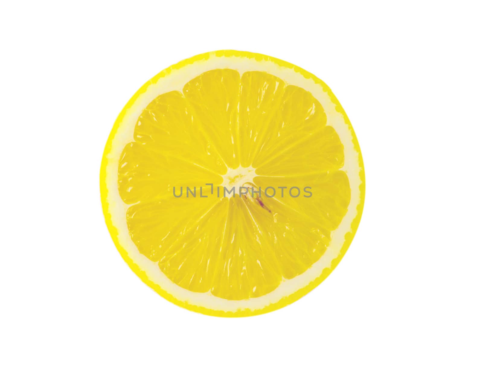 slice of lemon isolated on white background
