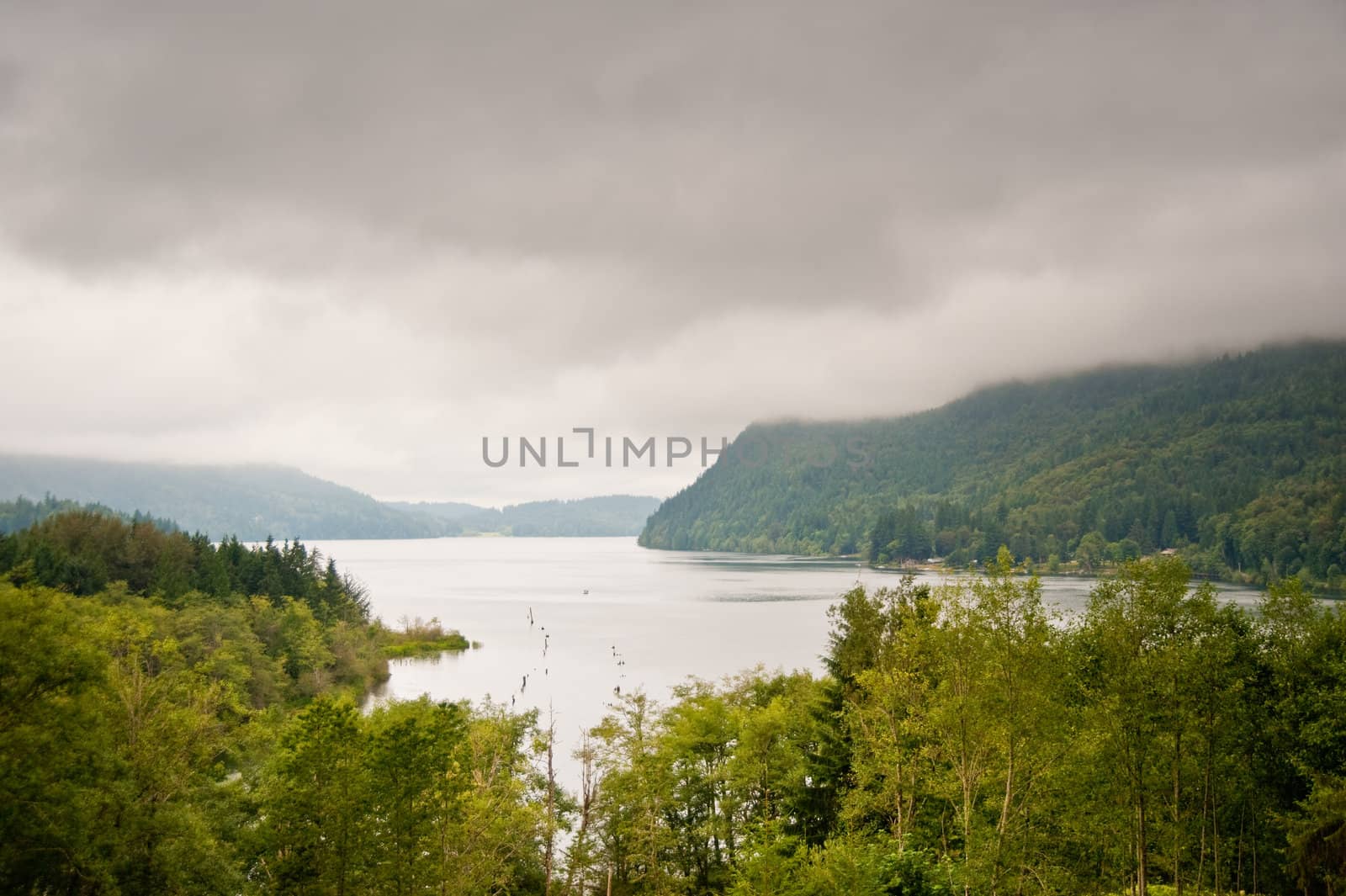 Overlooking Lake Whatcom in WA