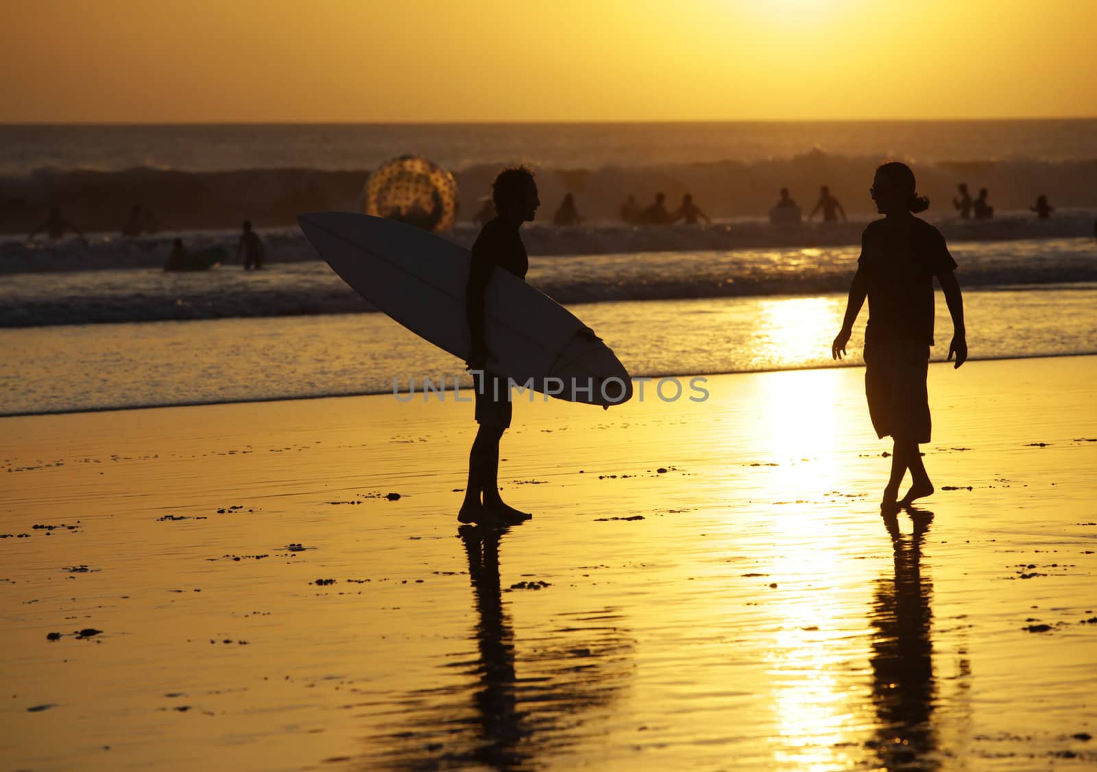 Silhouette of surfers in golden sunset light. Bali