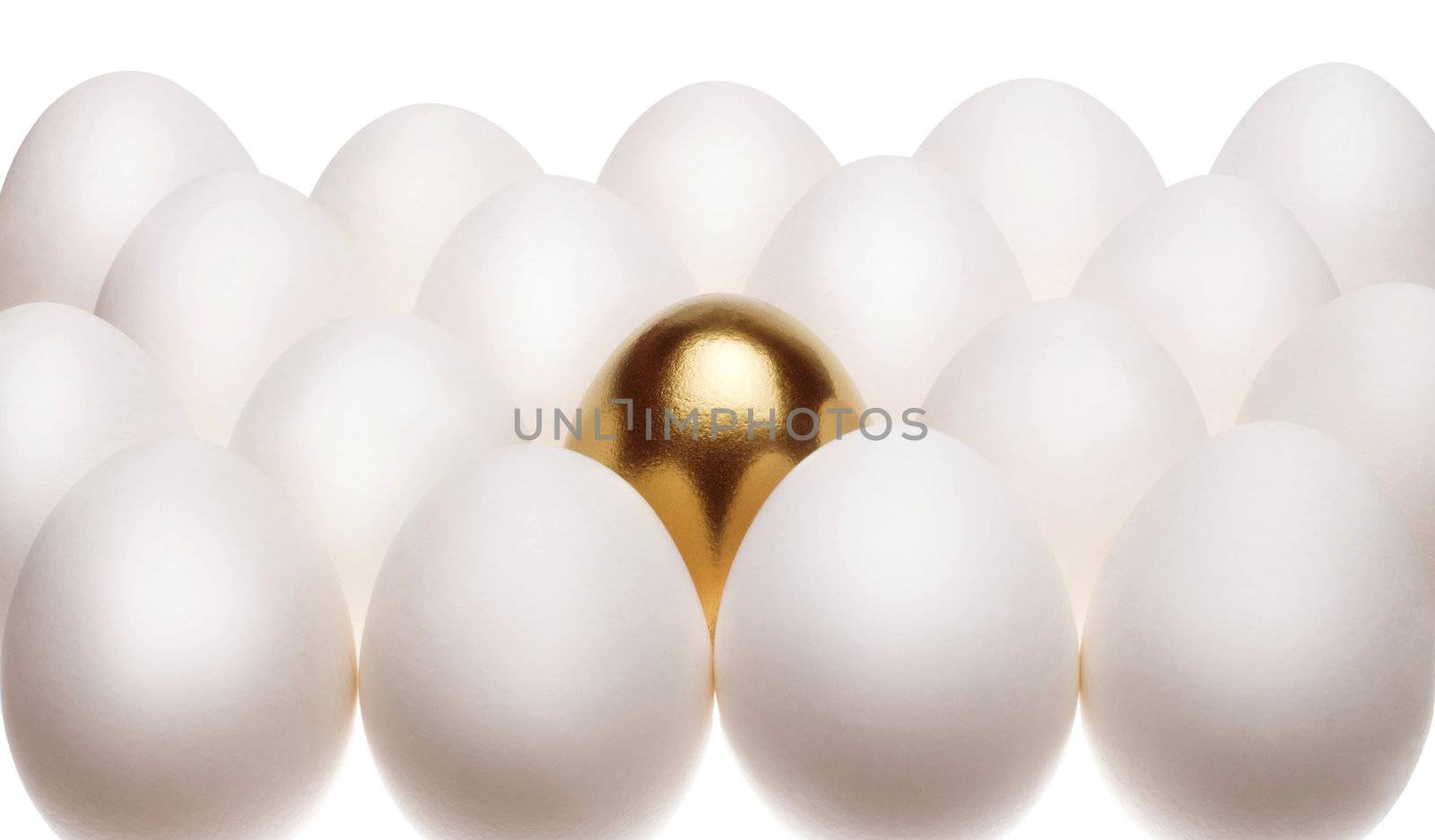 one gold egg lays among common white eggs