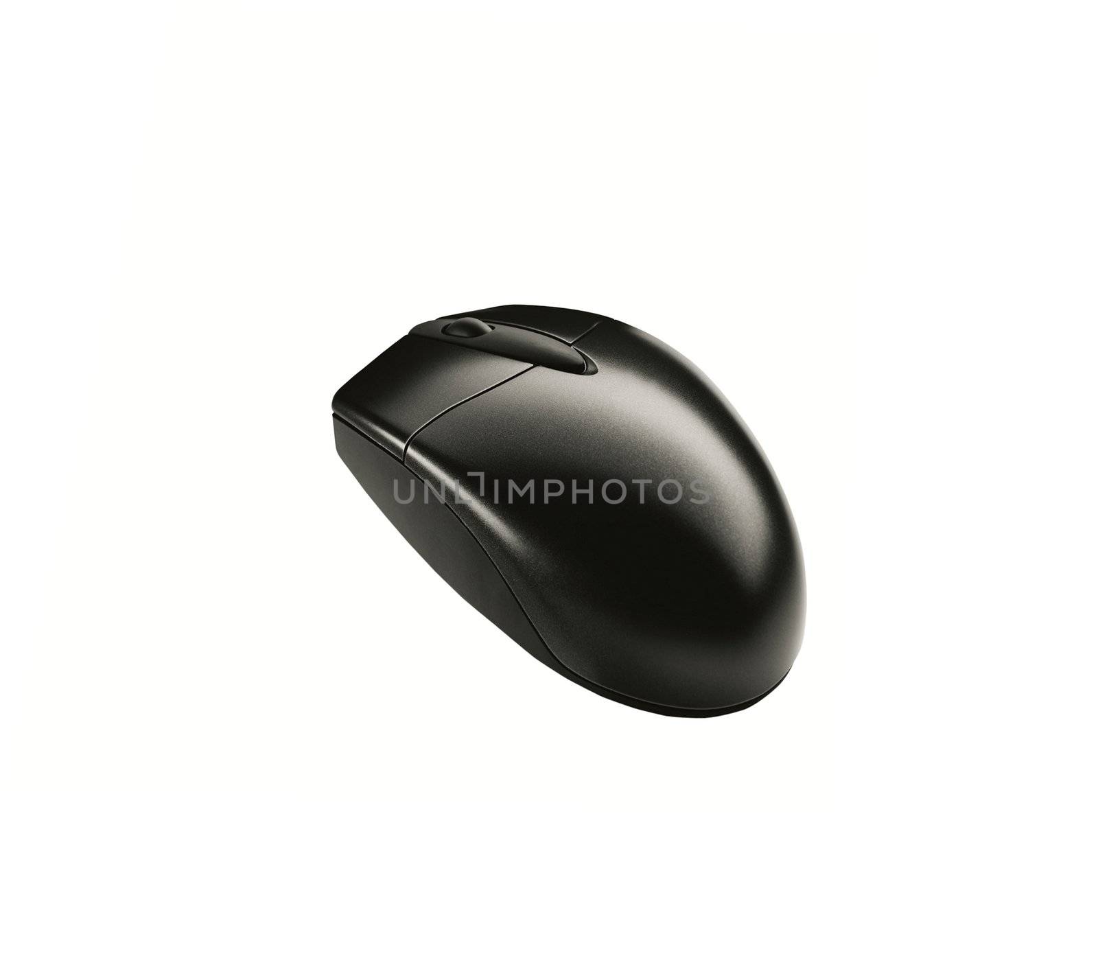 Closeup of Black Mouse isolated on White background