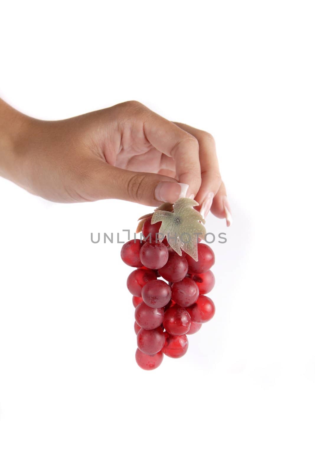 Pink grape cluster in hand isolated on white