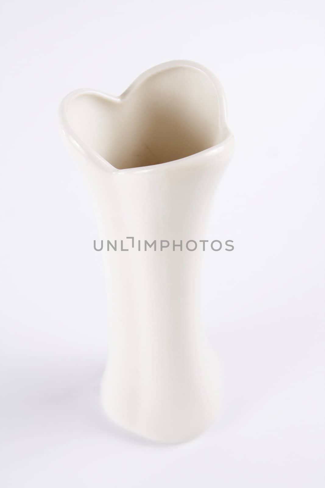 Elegant white vase isolated on white