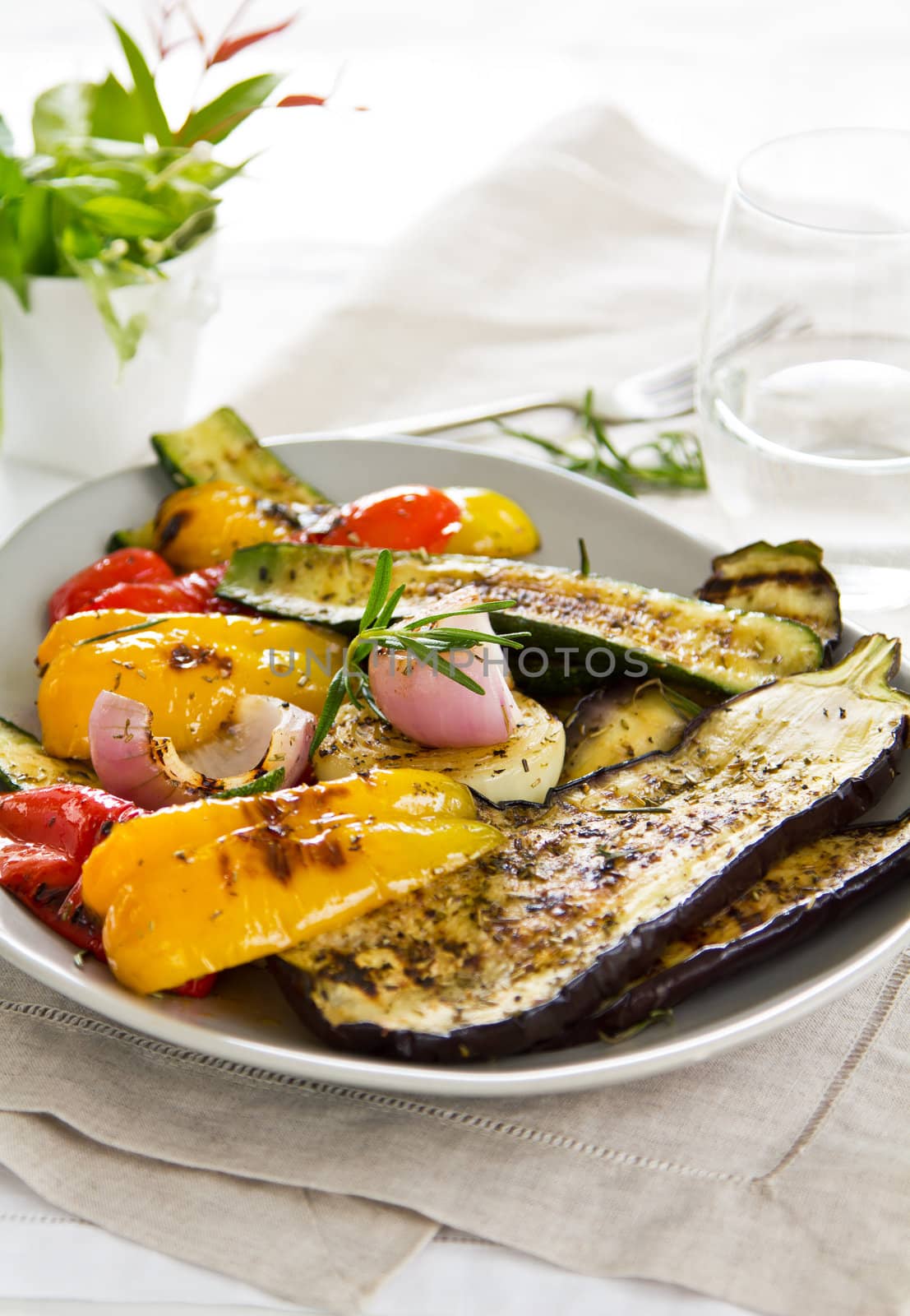 Grilled aubergine,zucchini,pepper,onion,with rosemary and spice salad