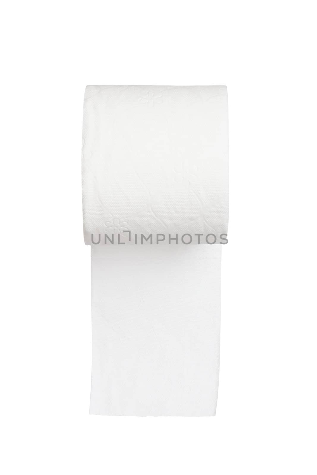 toilet paper on white background