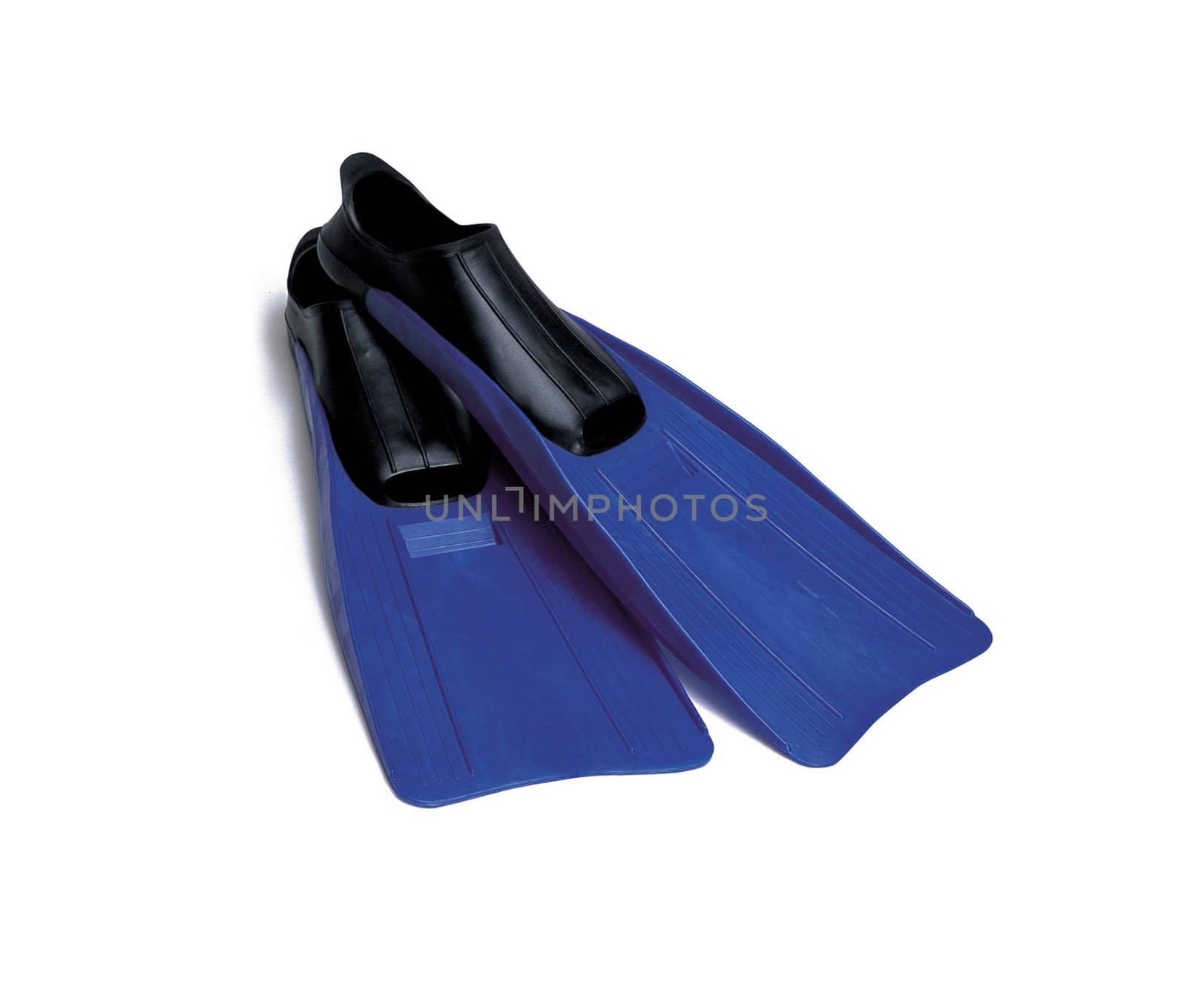 Flippers on a white background