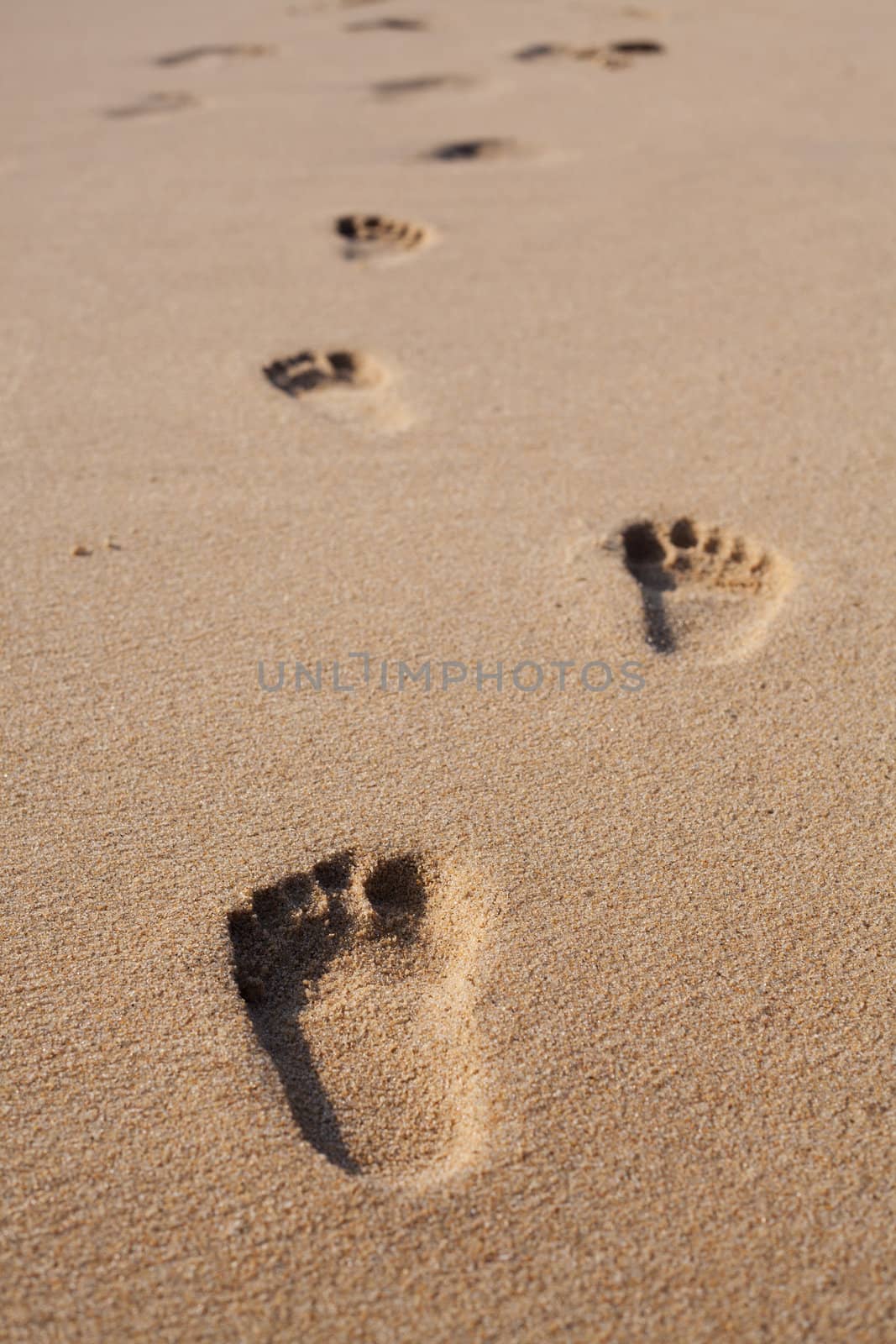 Footprints on the beach sand