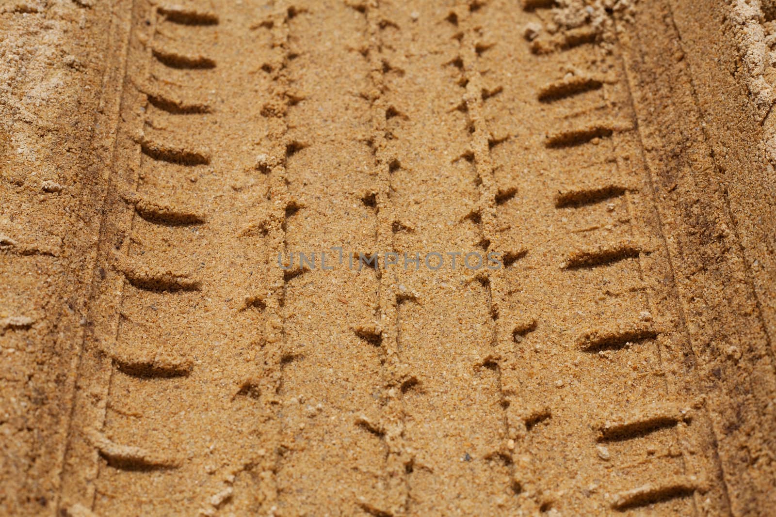 Tire Tracks in the Sand