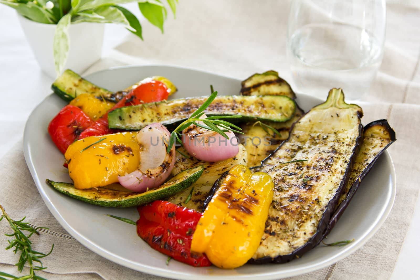 Grilled aubergine,zucchini,pepper,onion,with rosemary and spice salad