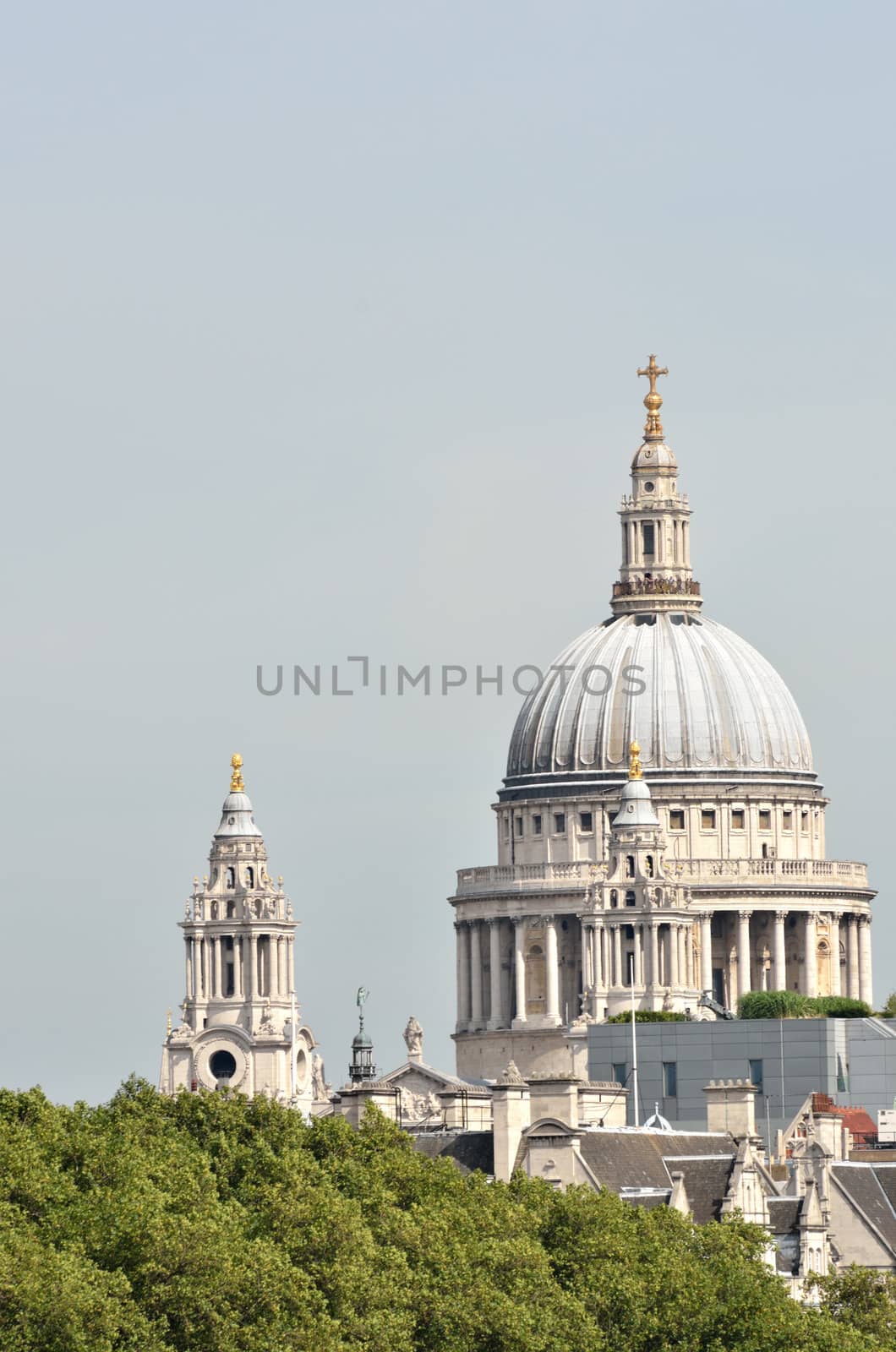 St Pauls cathedral with trees in foreground